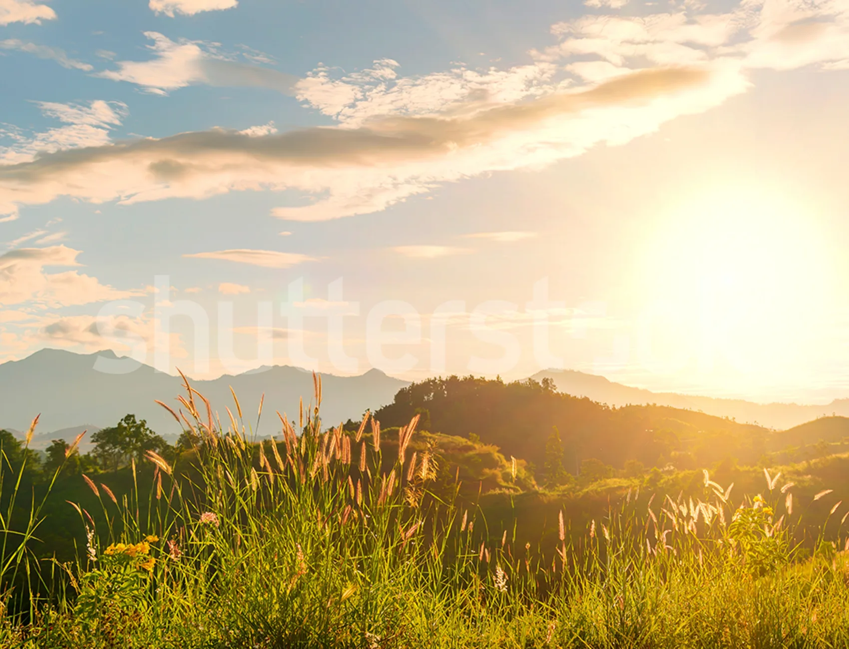 Embrace a New Dawn with Sunrise Hills