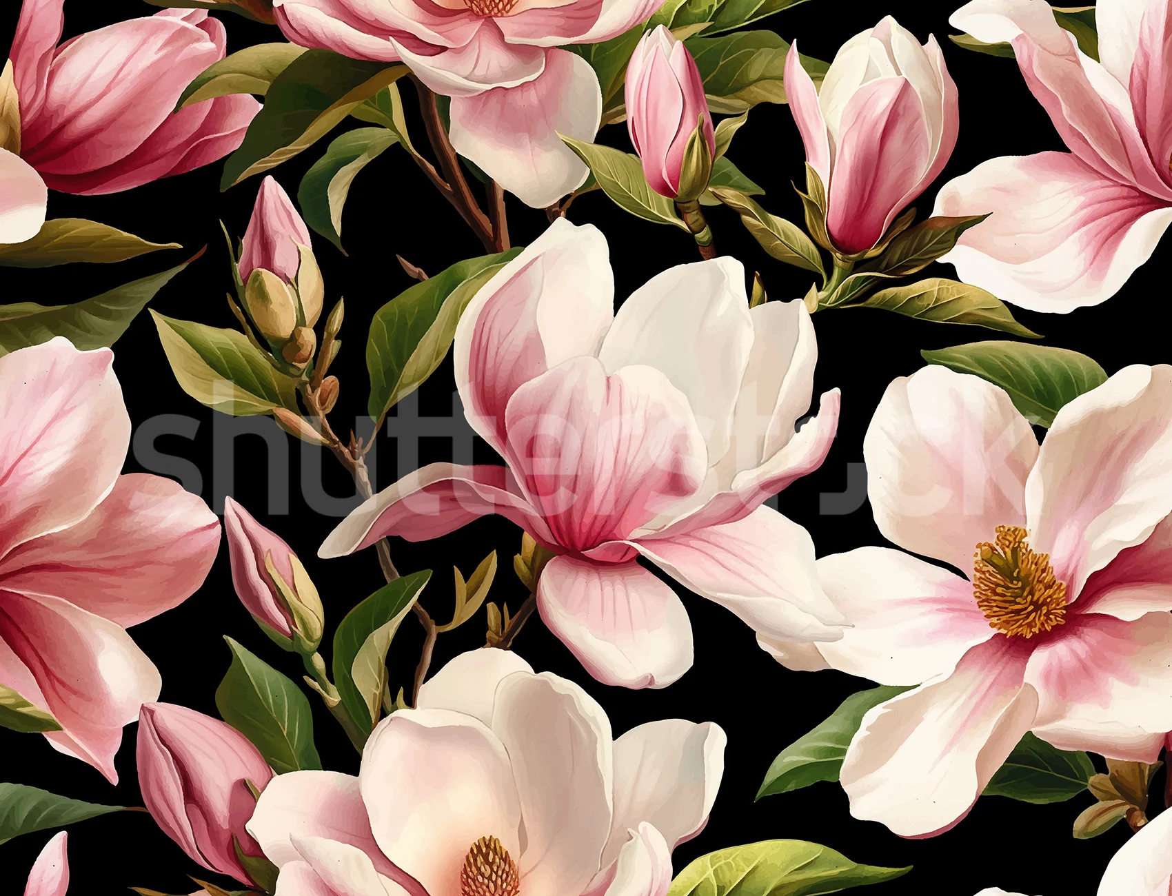 Elegant Magnolia Blooms