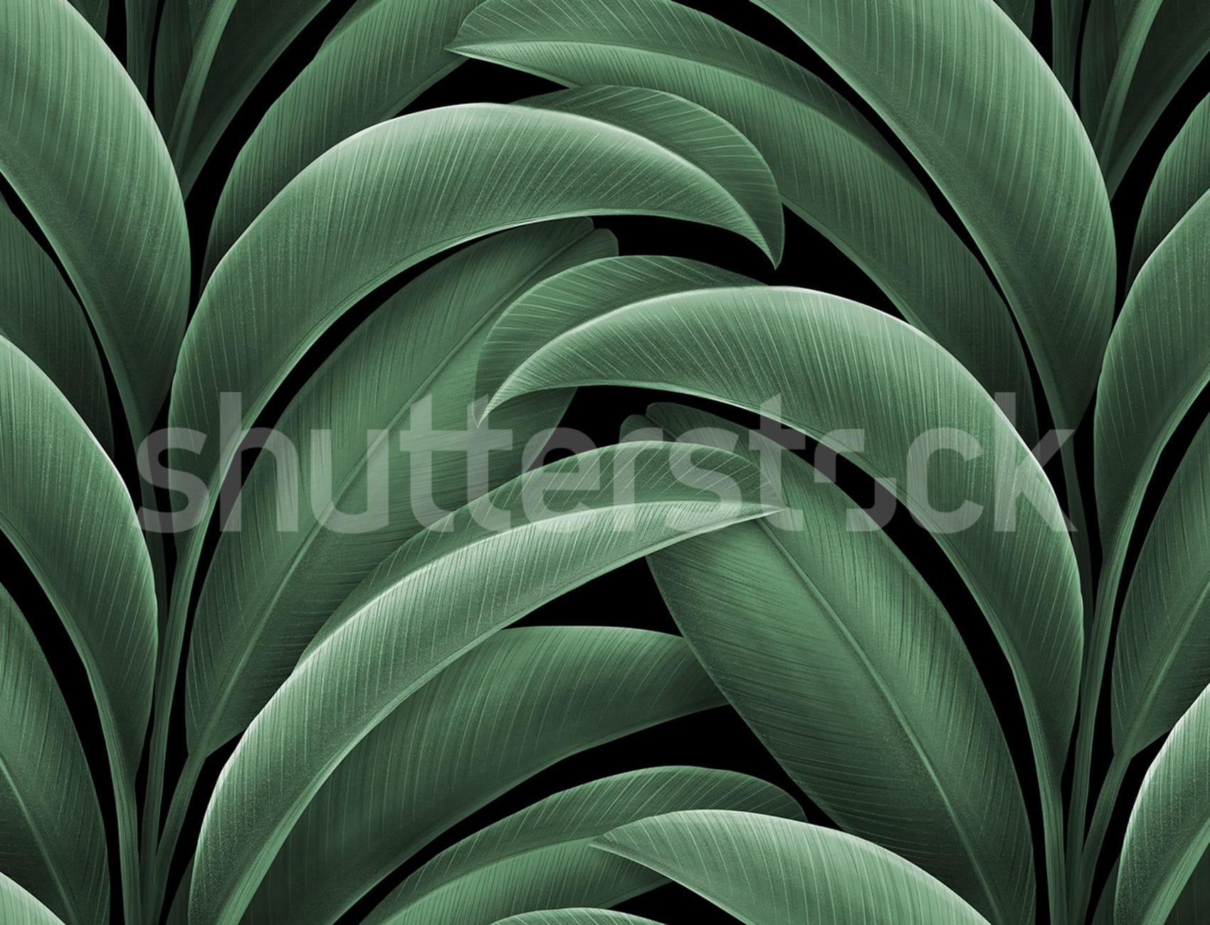 Embrassez la nature avec de grandes feuilles