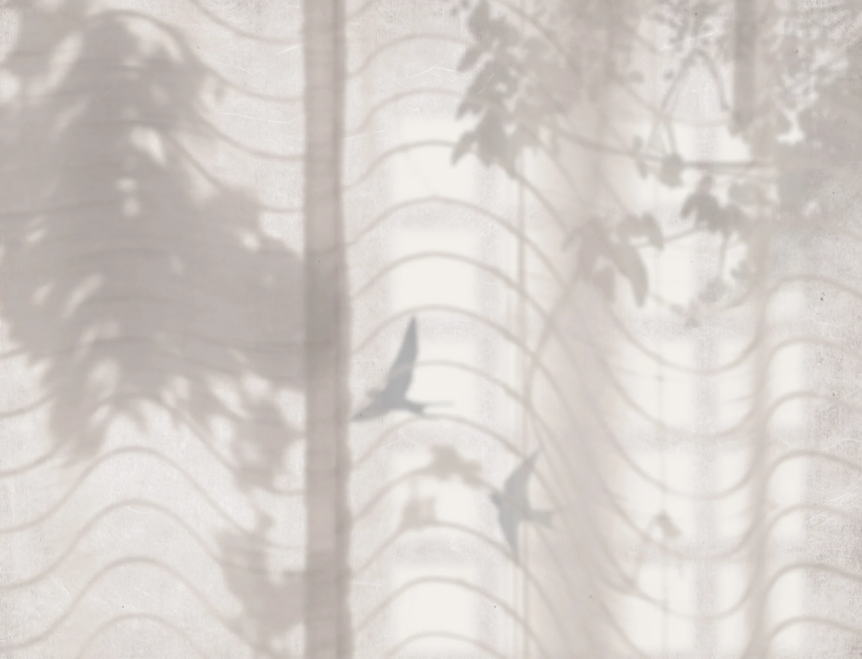 Hortus Umbra