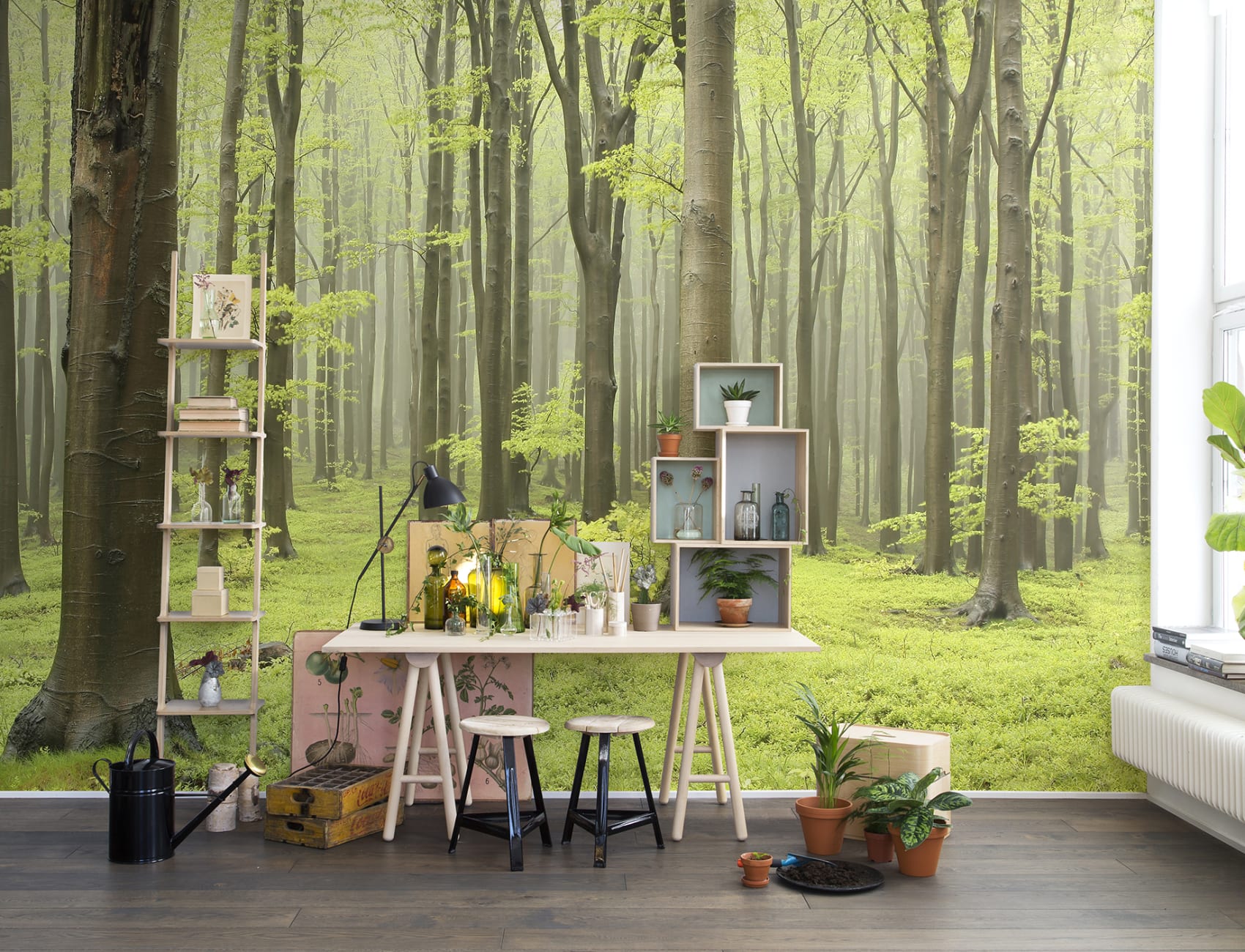 Deciduous Forest
