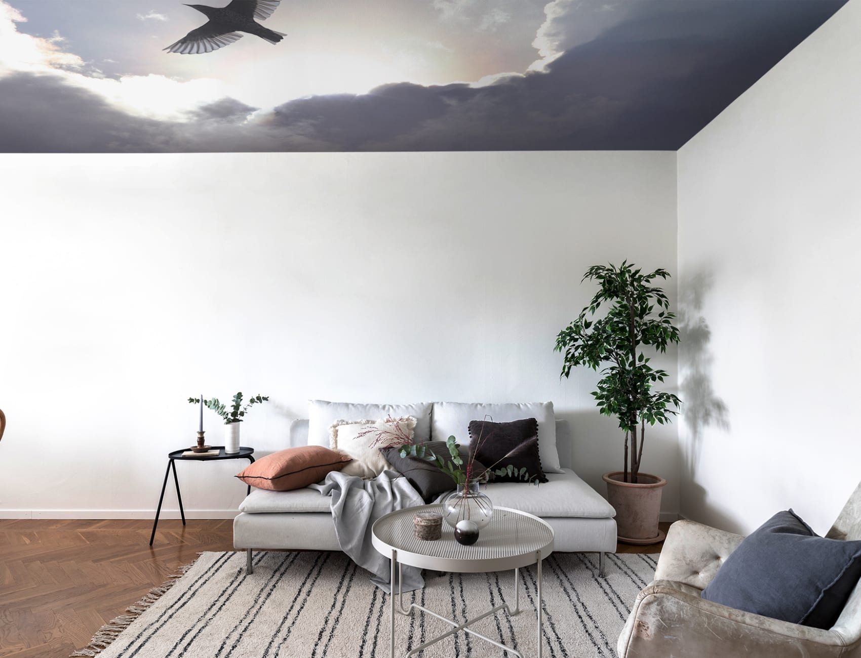Sky wall mural with a flying bird