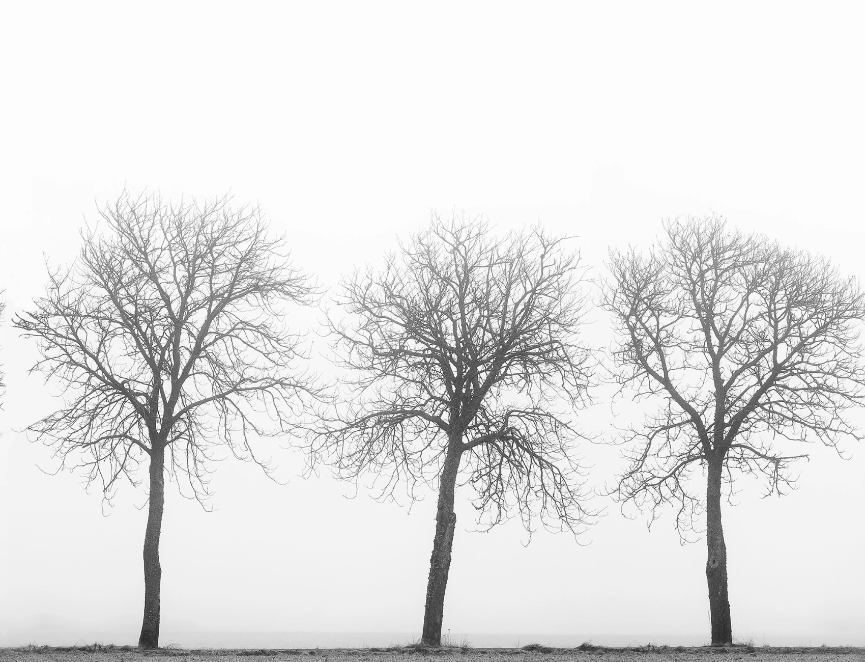 Geschichte