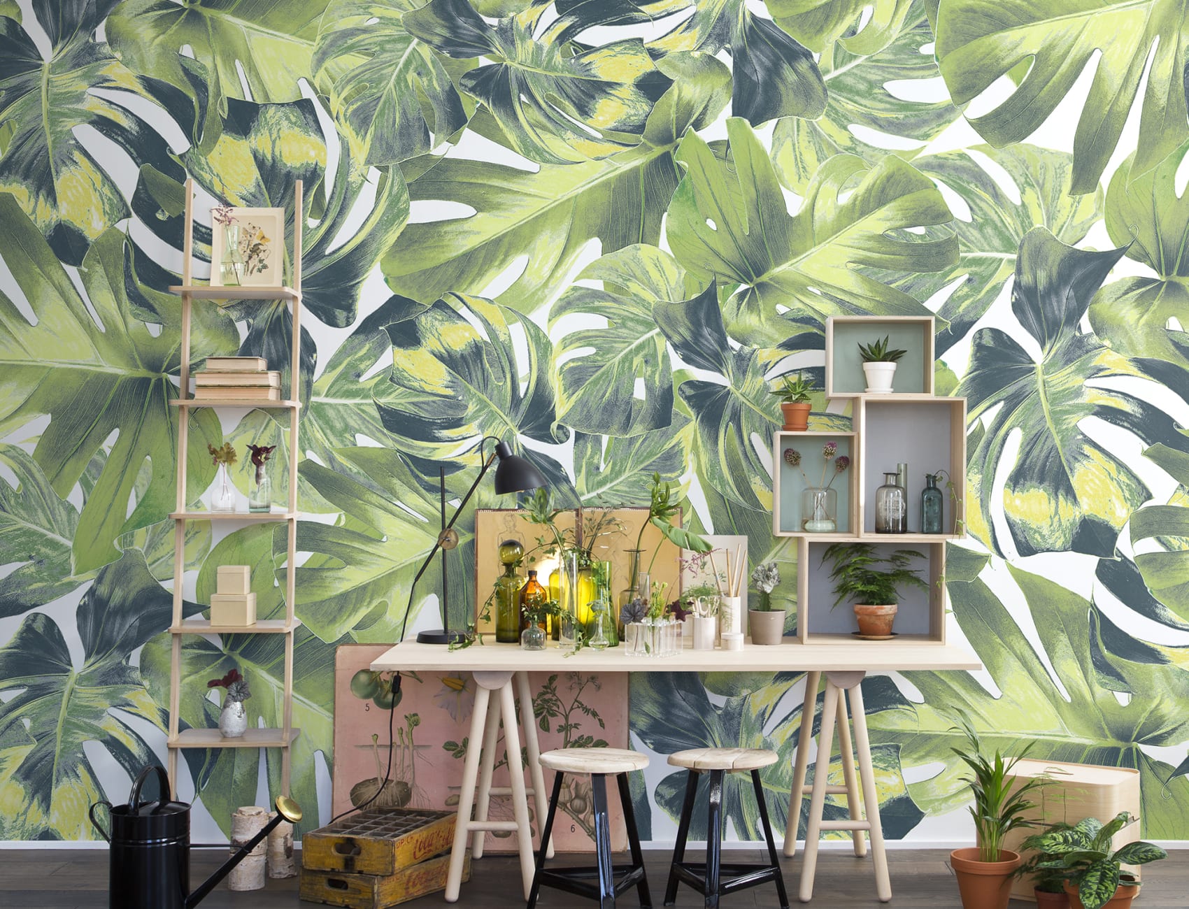 Jungle mural wallpaper with monstera leaves