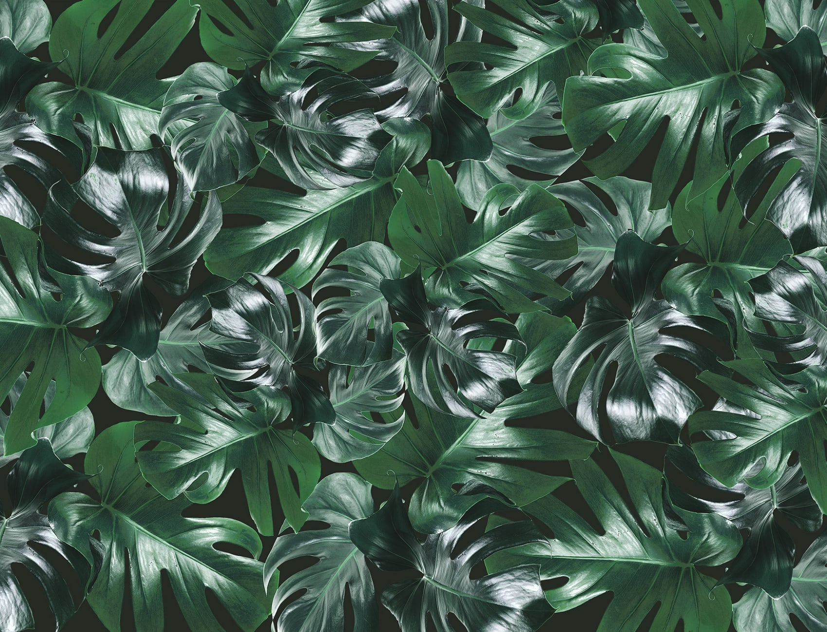 Gröna blad