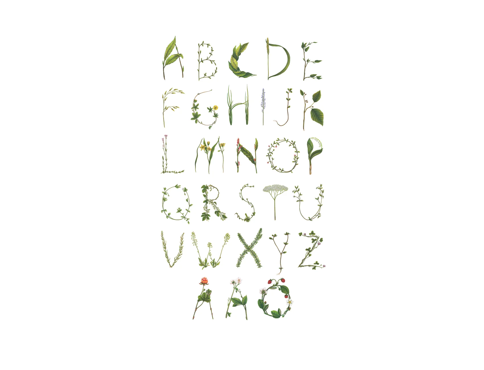 Wallpaper with writing in the form of a leaf alphabet