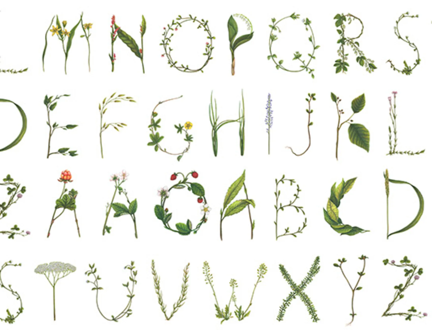 Sprouting green letters