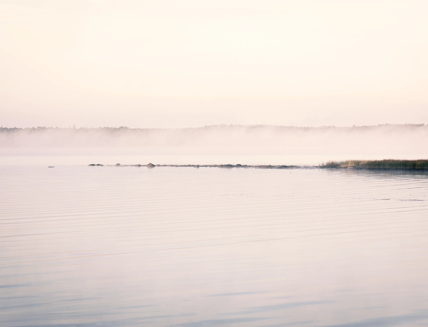 Relax and refresh within this misty mural scene
