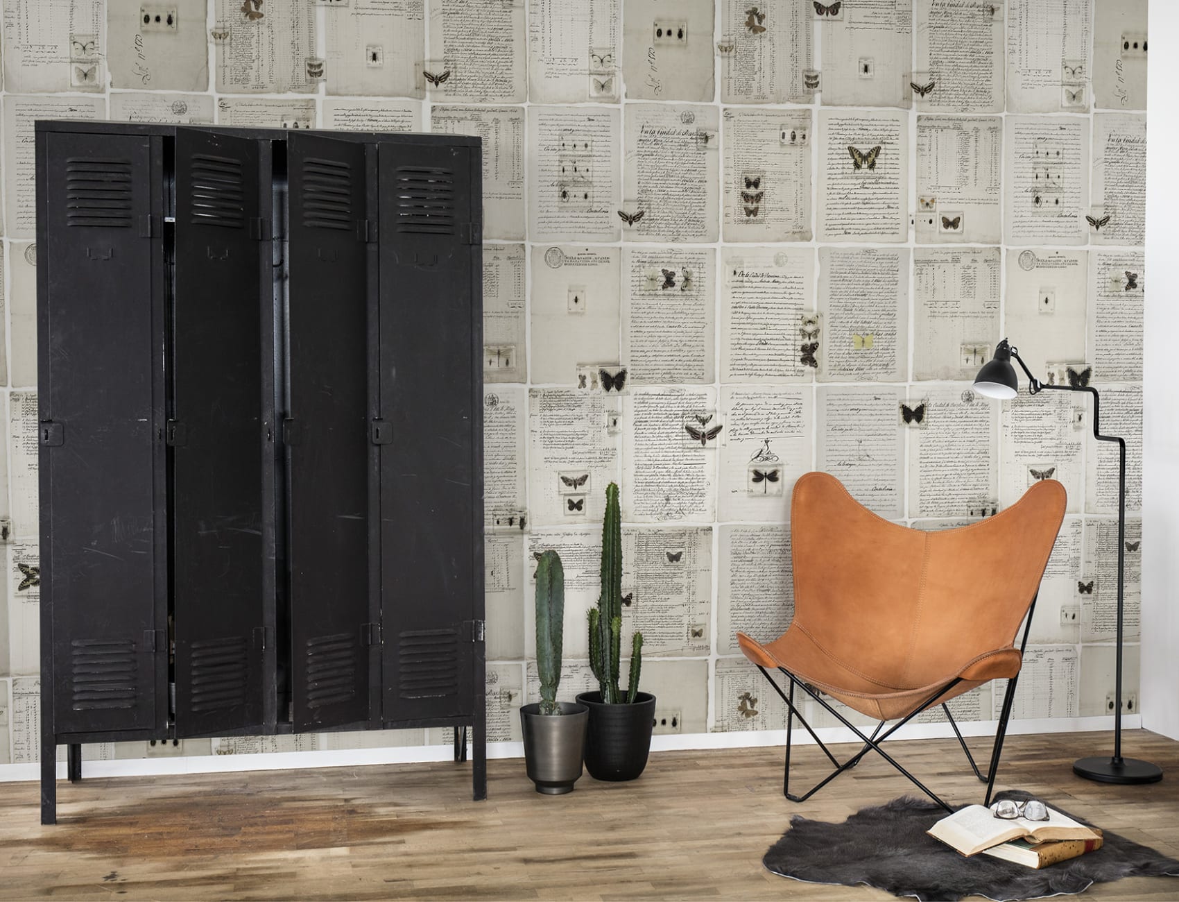 Préservé et conservé pour décorer vos murs