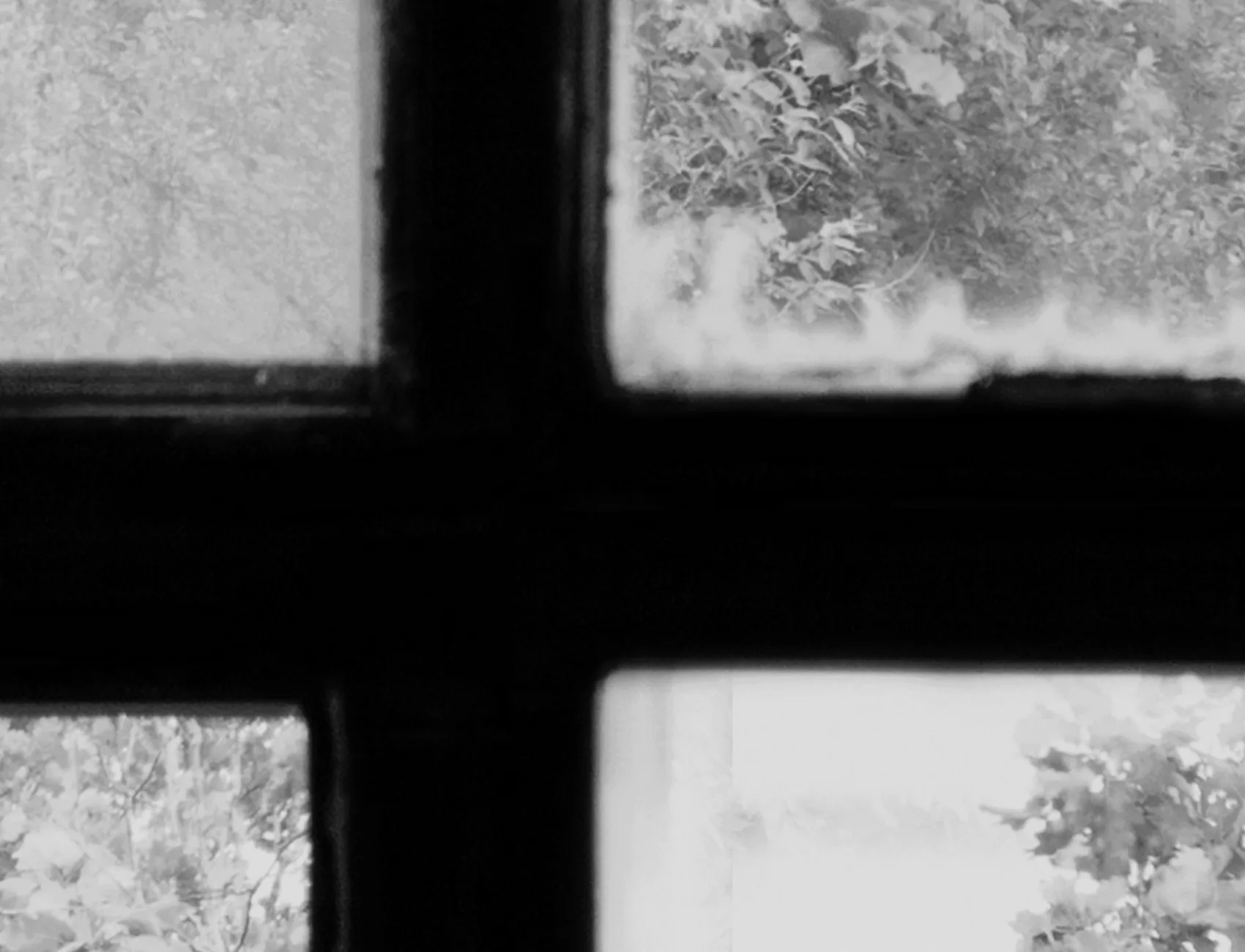 Factory Window, Graphite