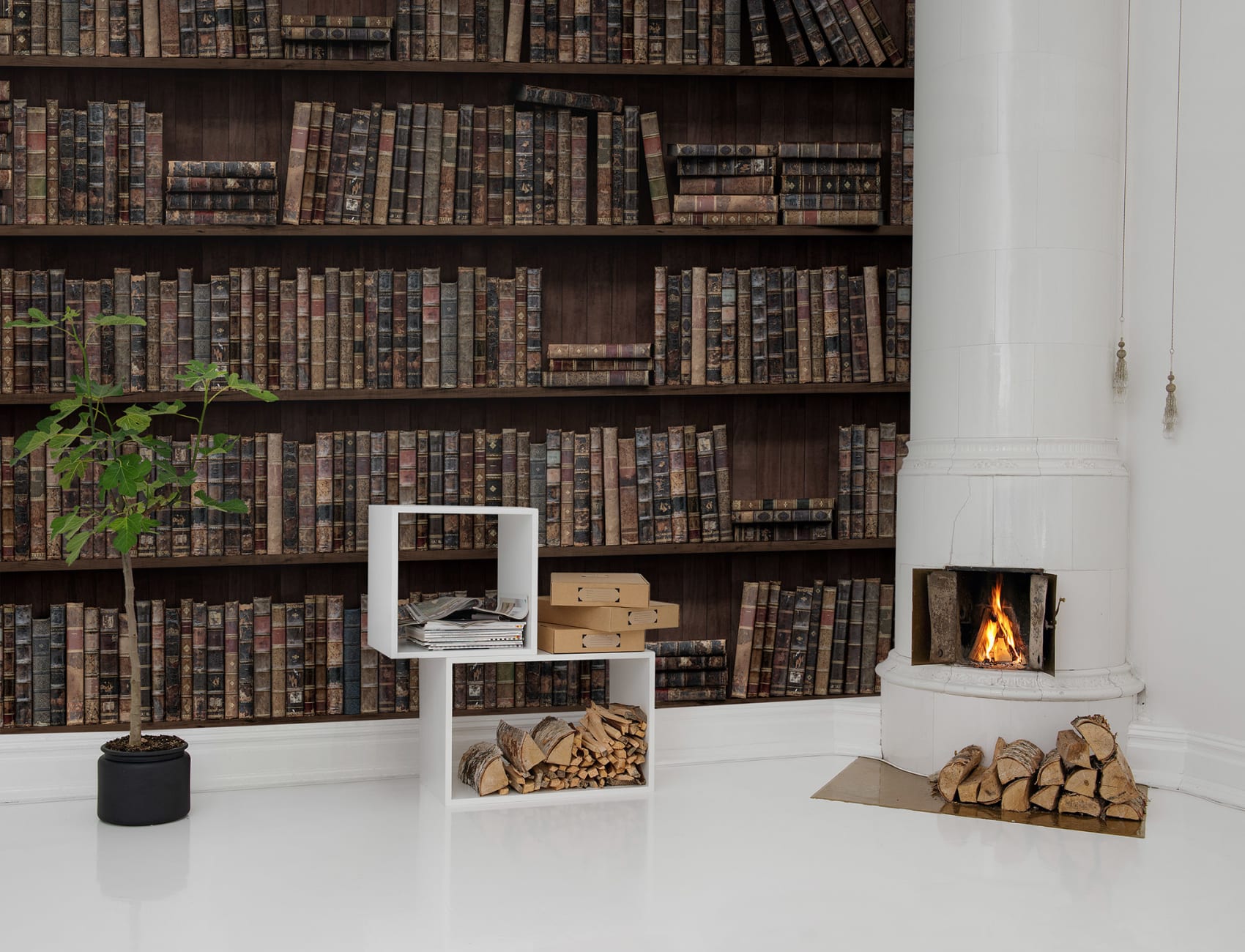 Une bibliothèque avec une histoire