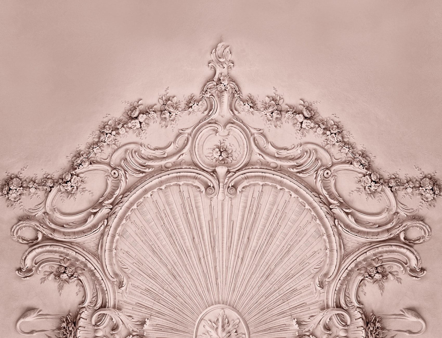 Pink wallpaper dream