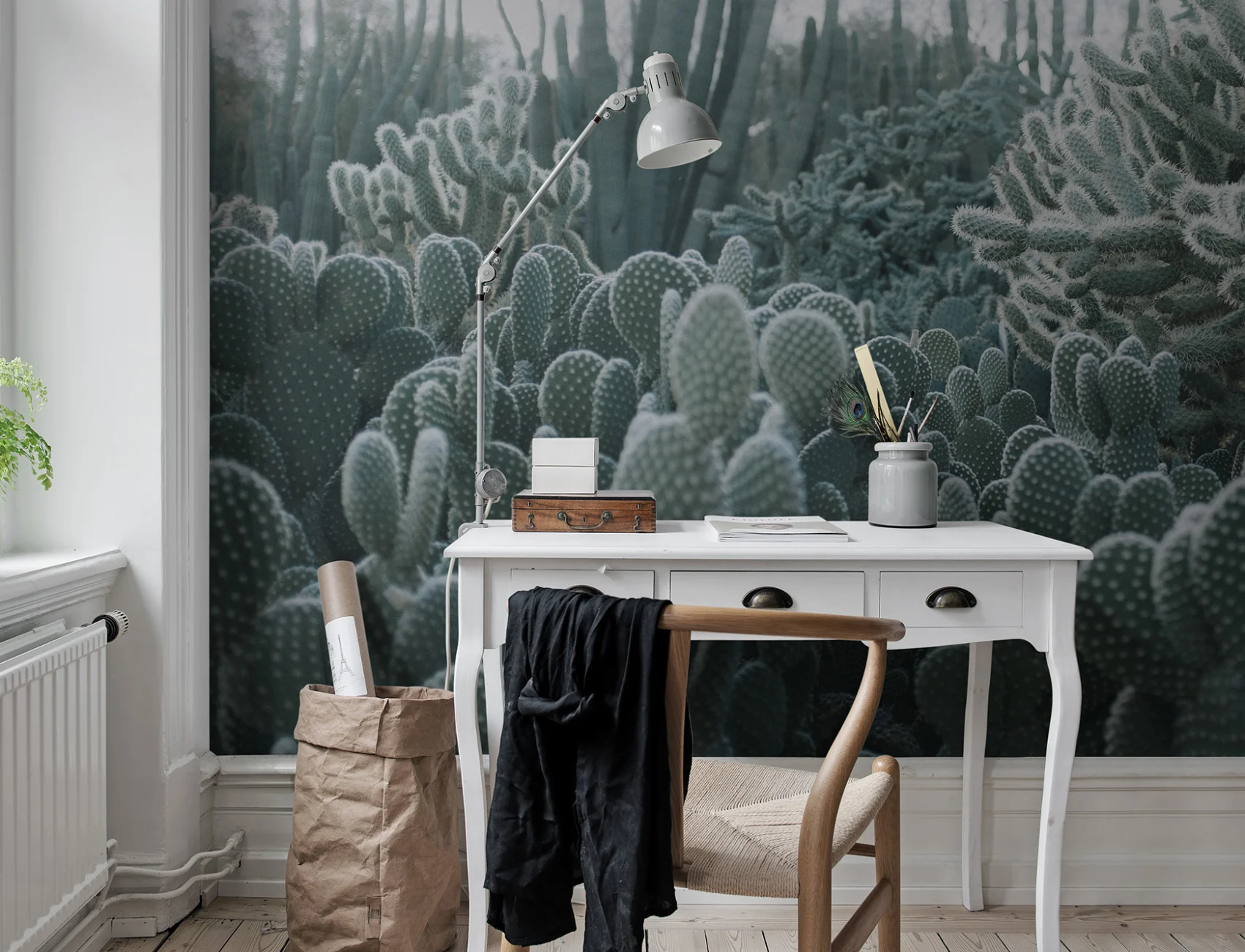 Cacti