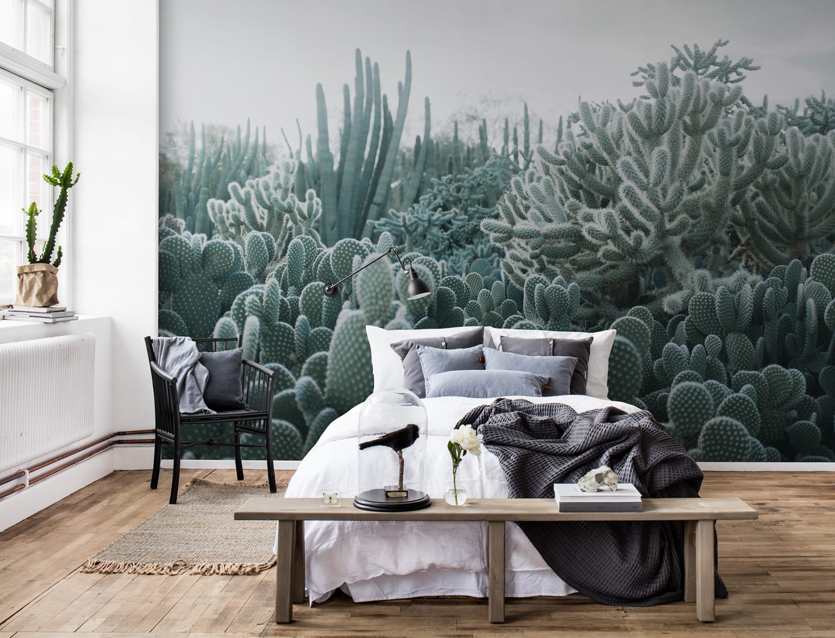 Cacti