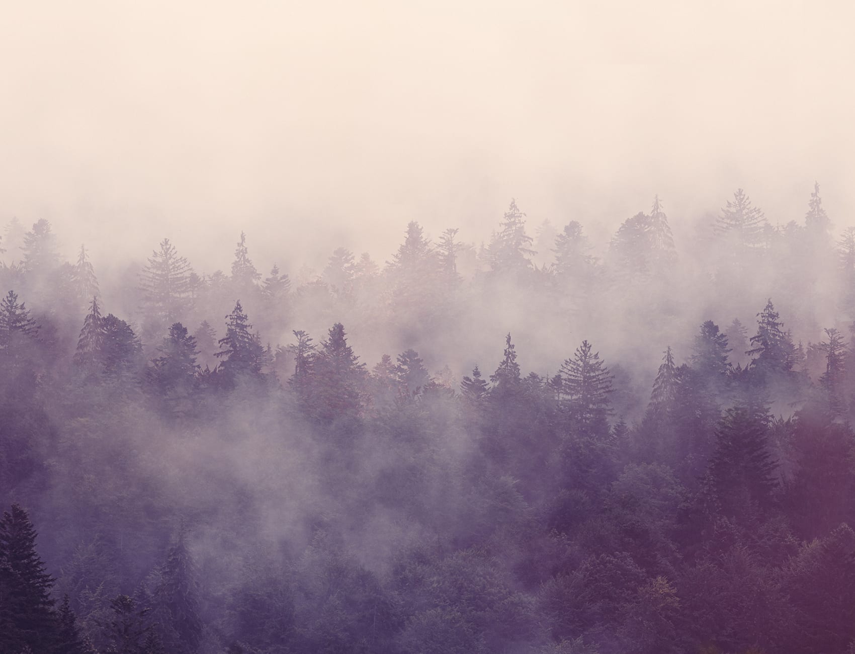 La brume de l'aube