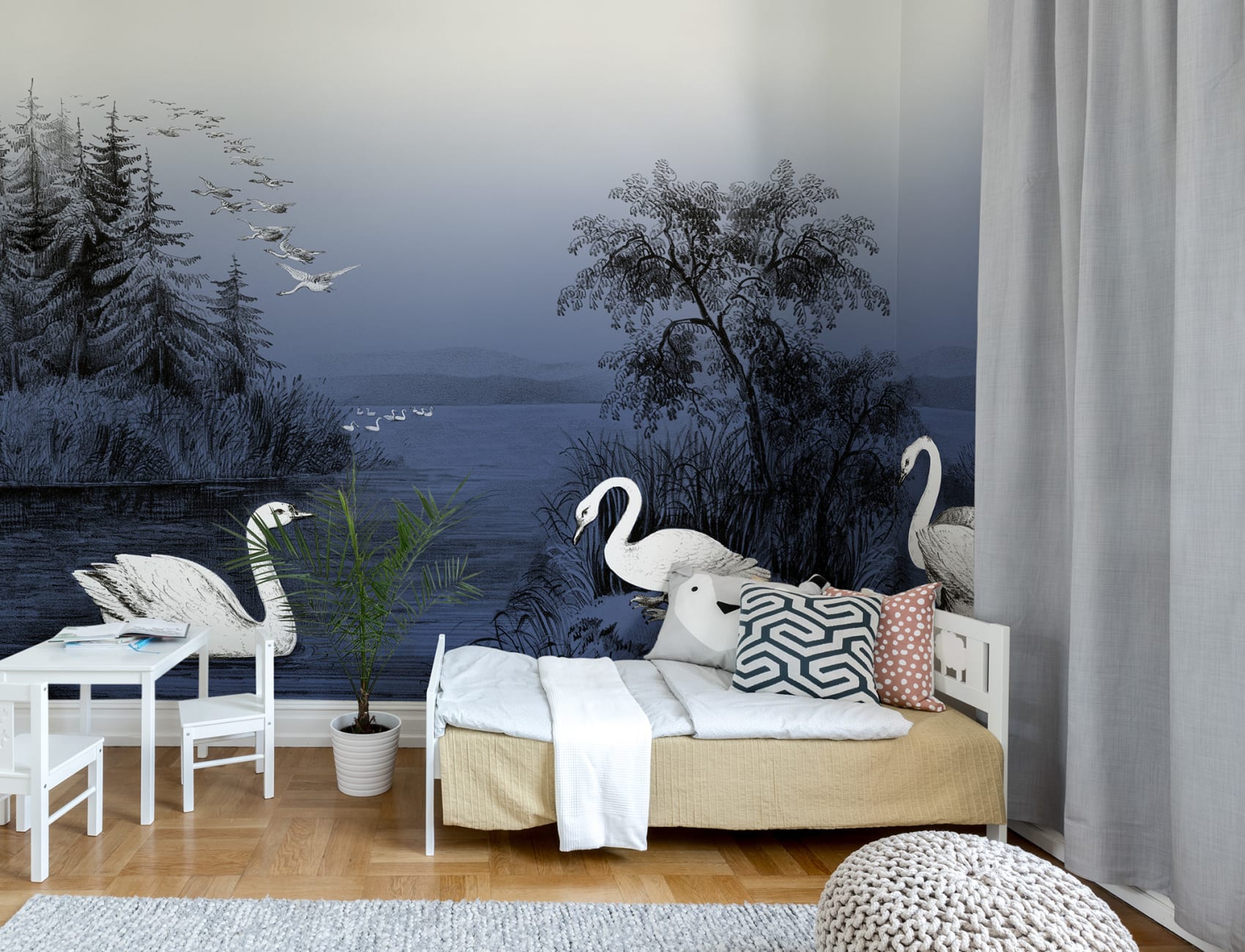 Swans in the midnight blue twilight