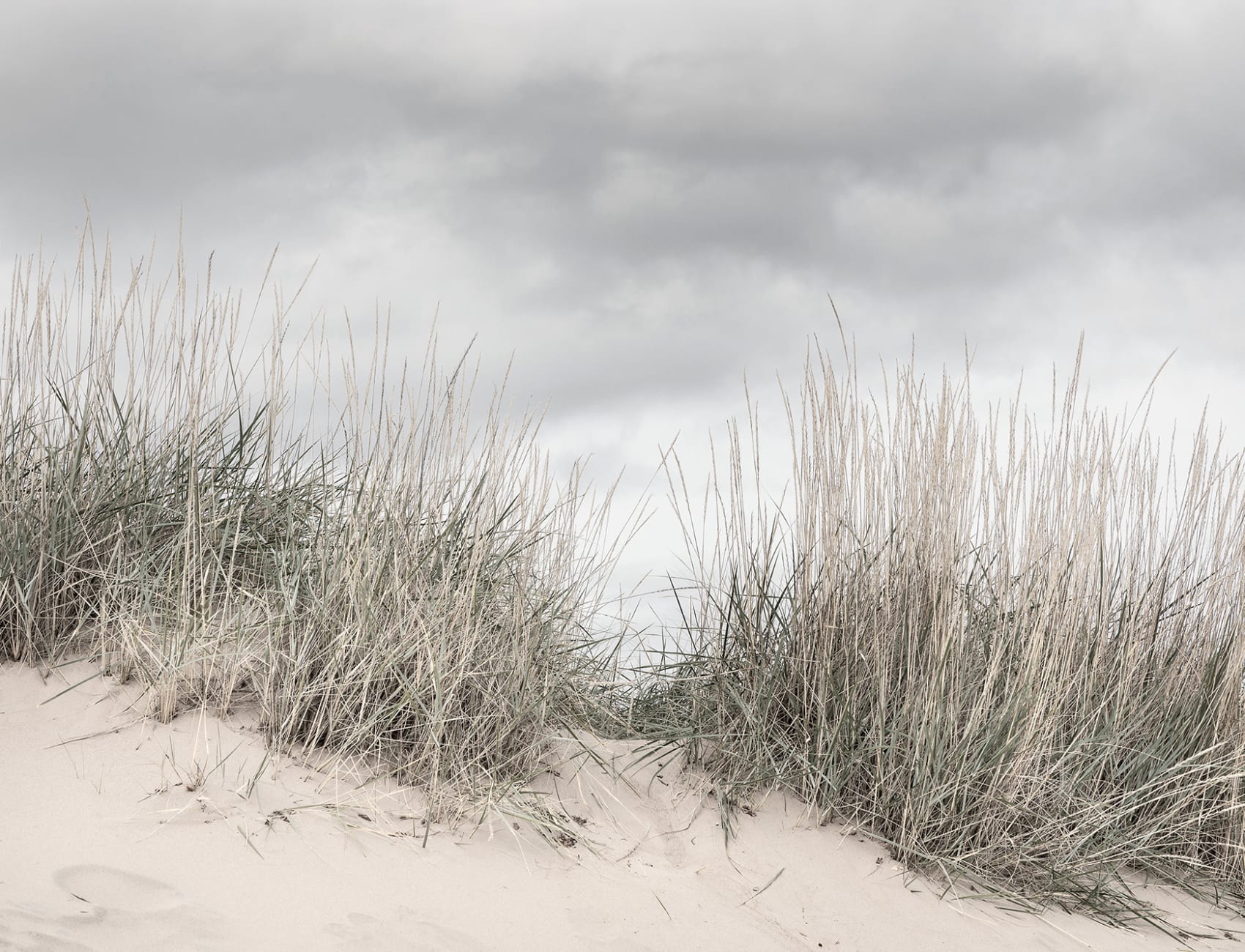 The sophisticated palette of a cloudy day