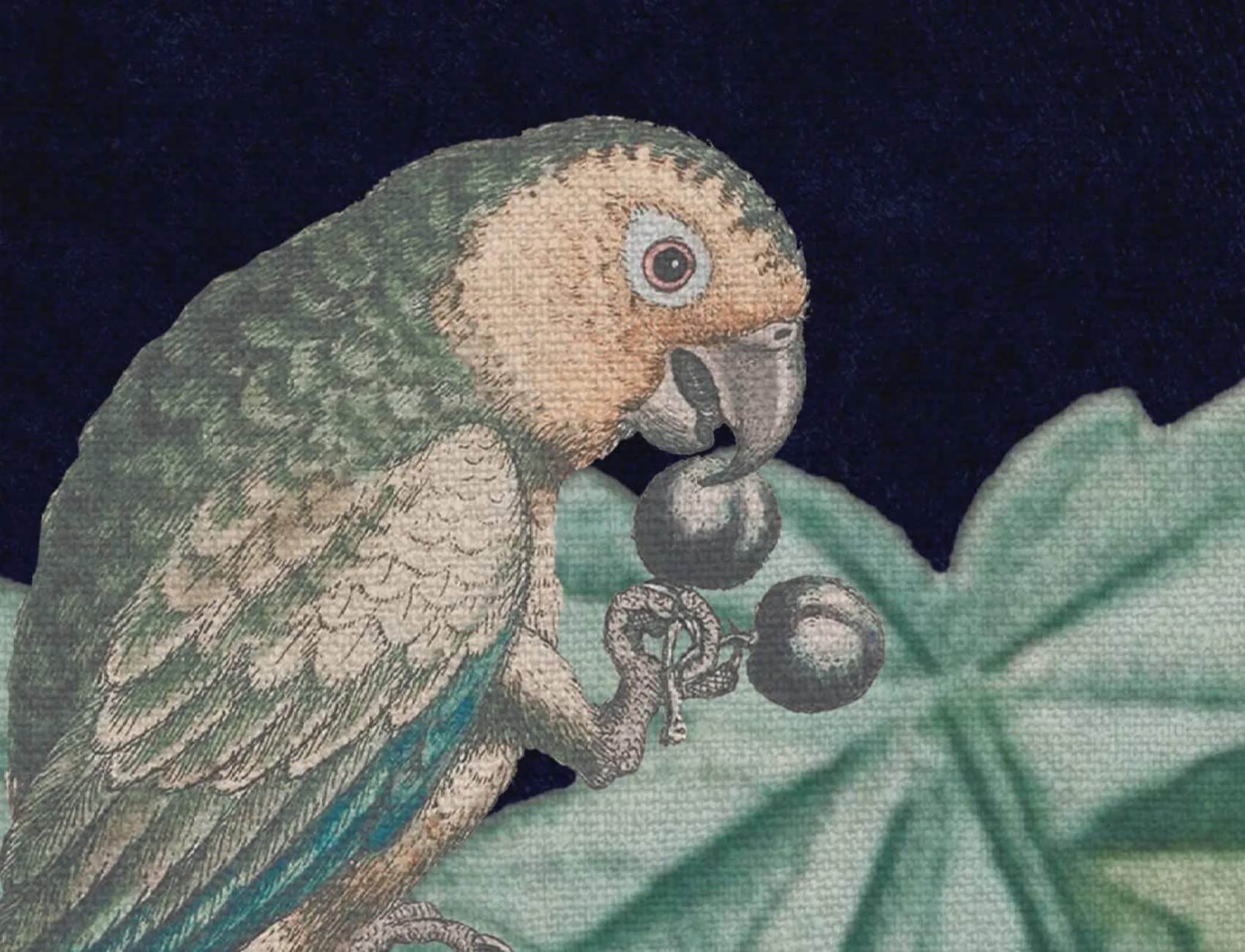 Papier peint animal fantastique
