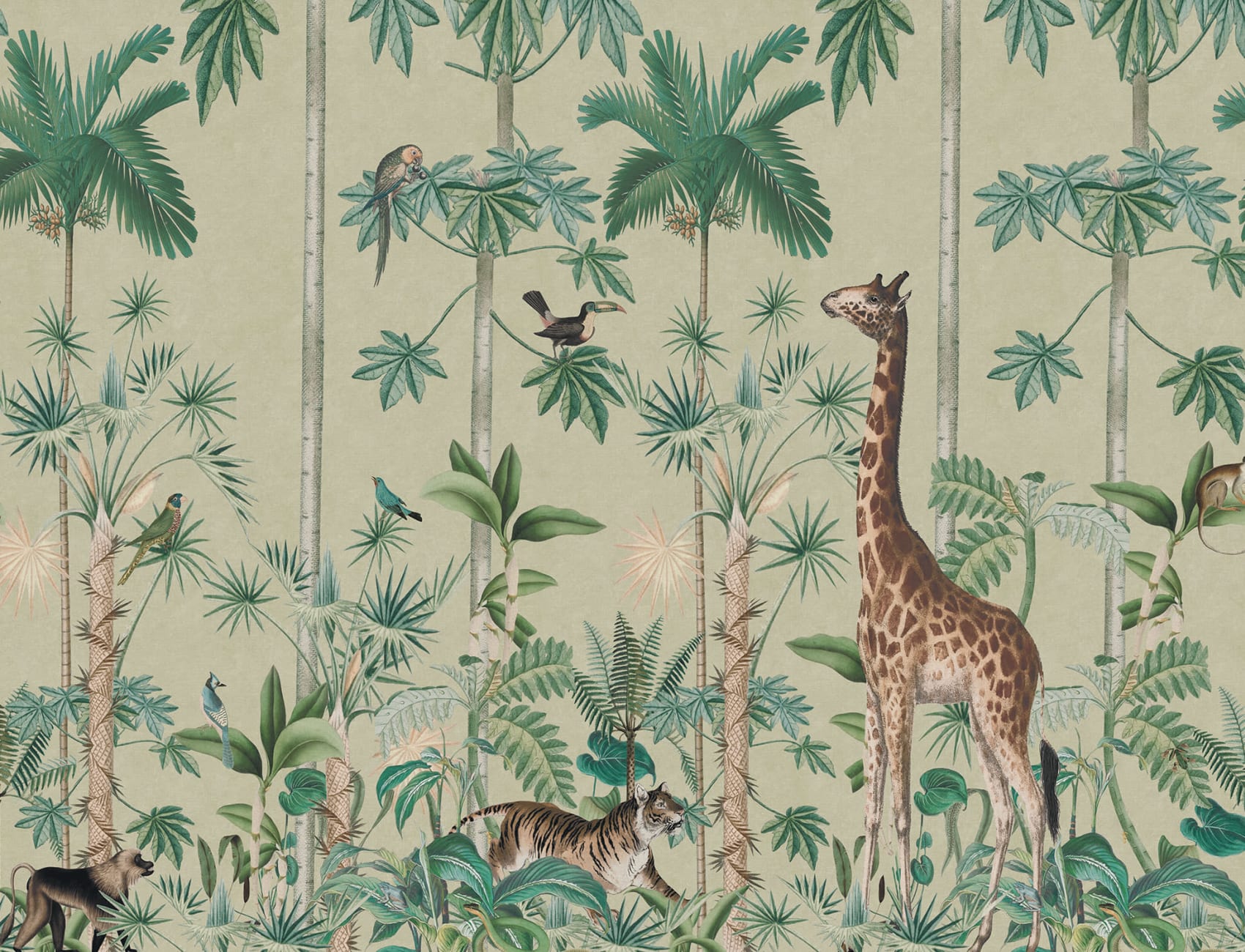 Giraffes Stroll, Sunny