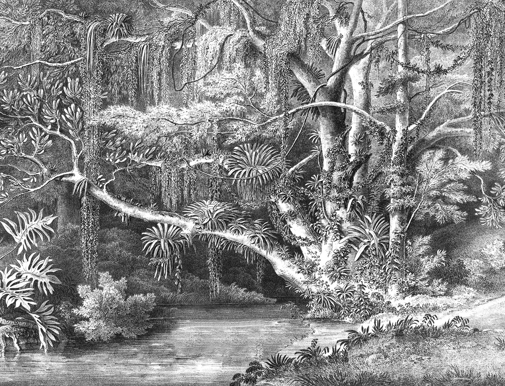 Lush oasis
