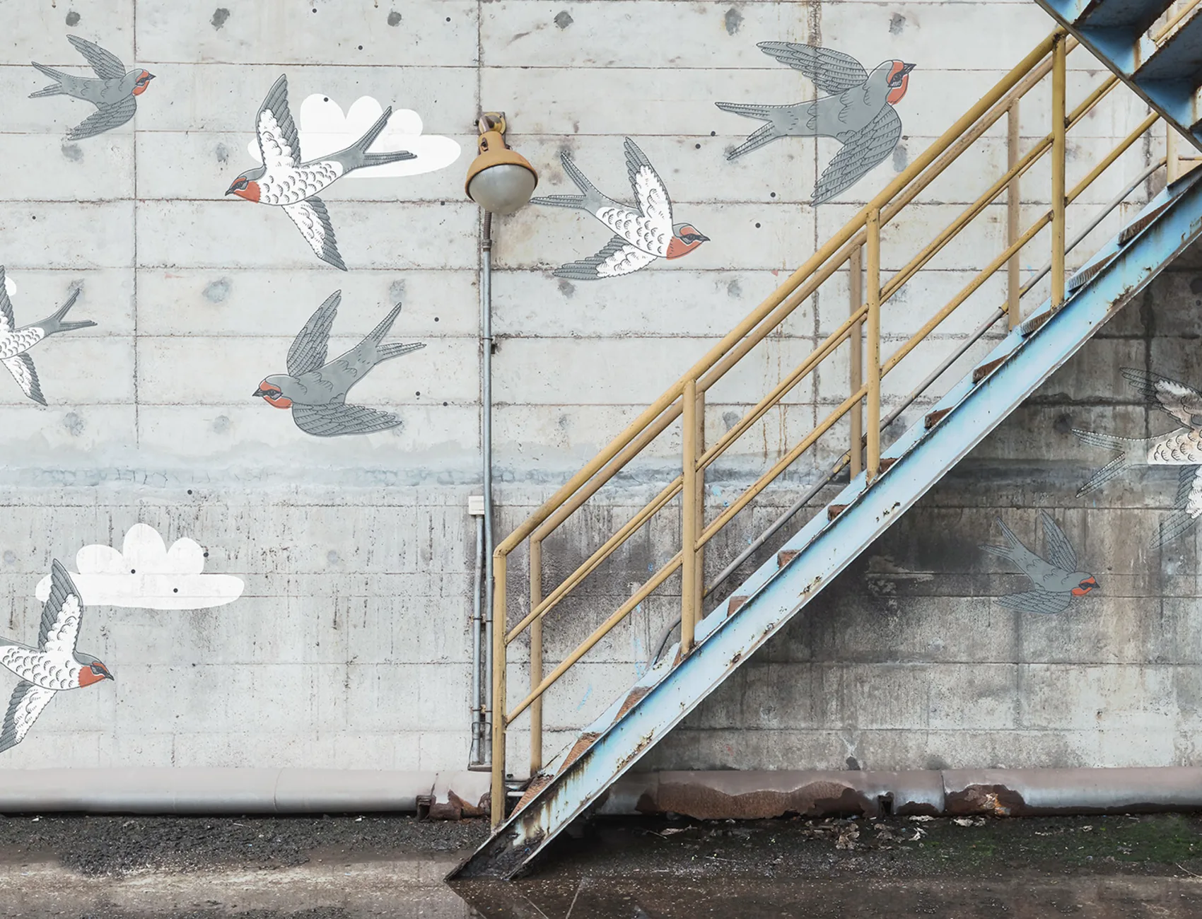 Dreams and decay