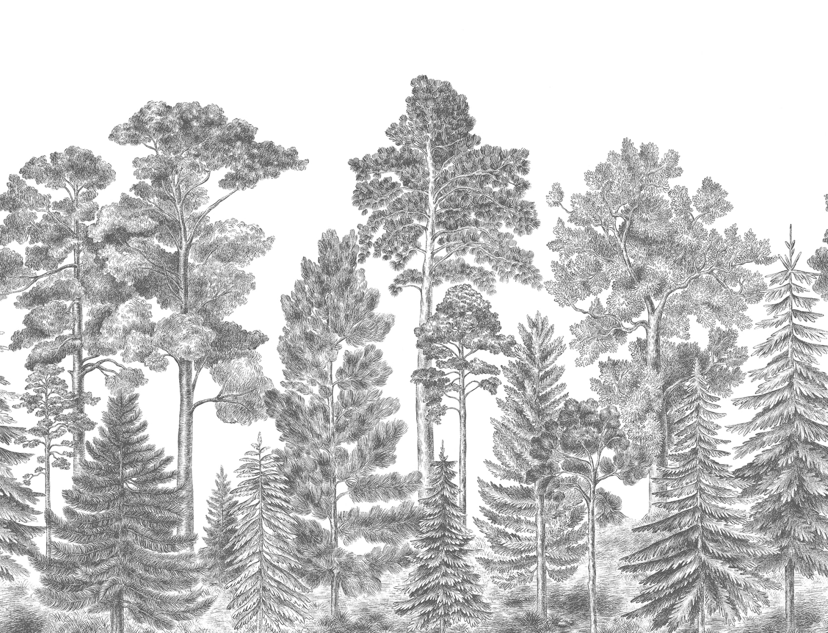 Gray forest wallpaper mural