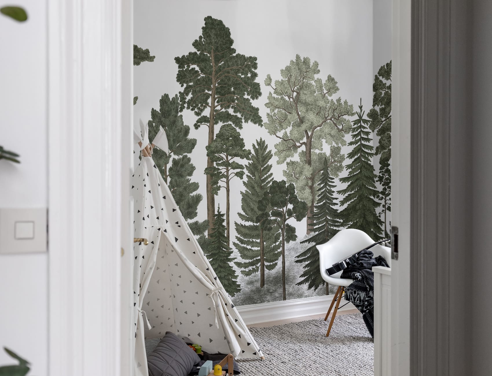 Forest wallpaper with coniferous trees