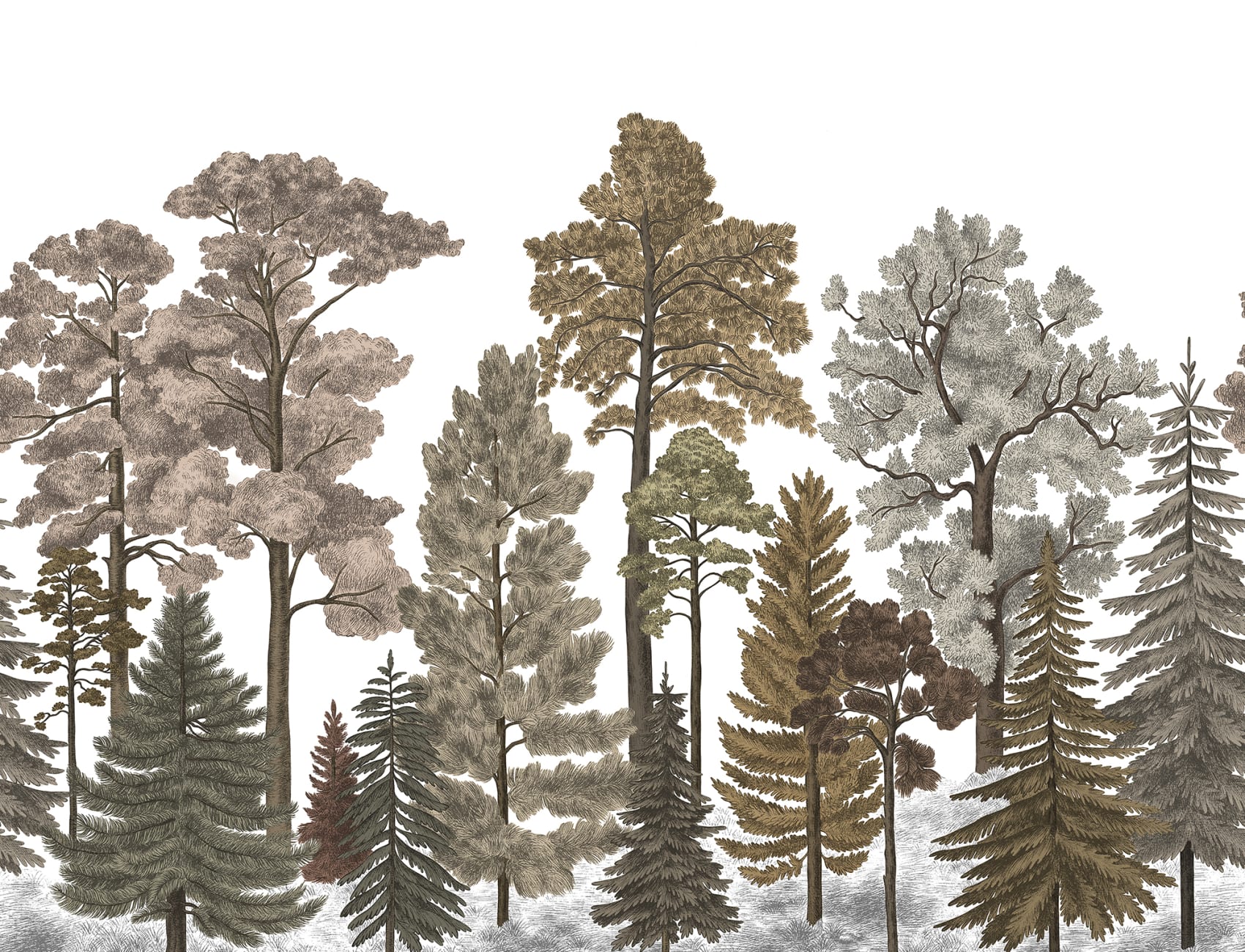 Fall forest wallpaper with warm brown hues