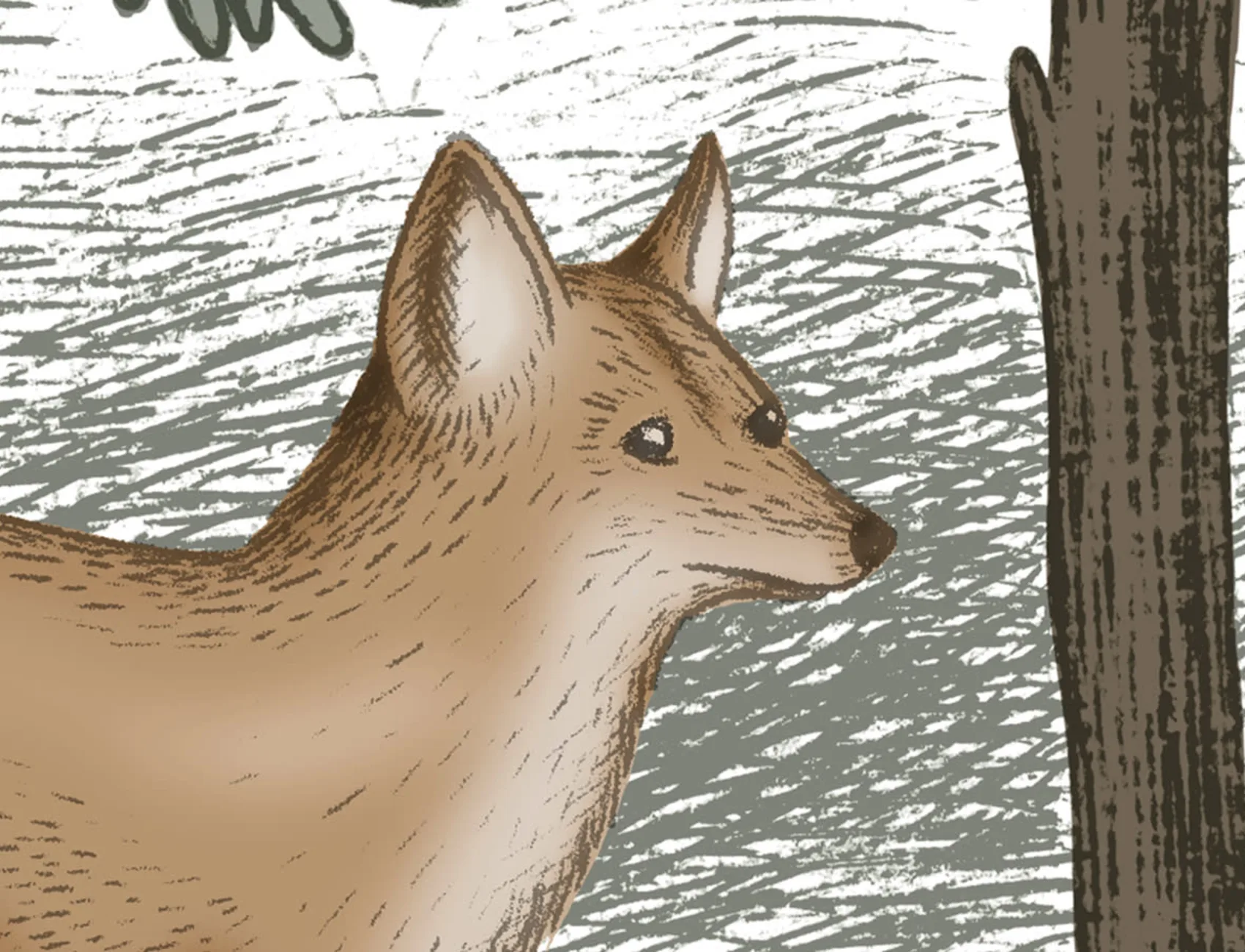 Scandinavian Bellewood, Animal
