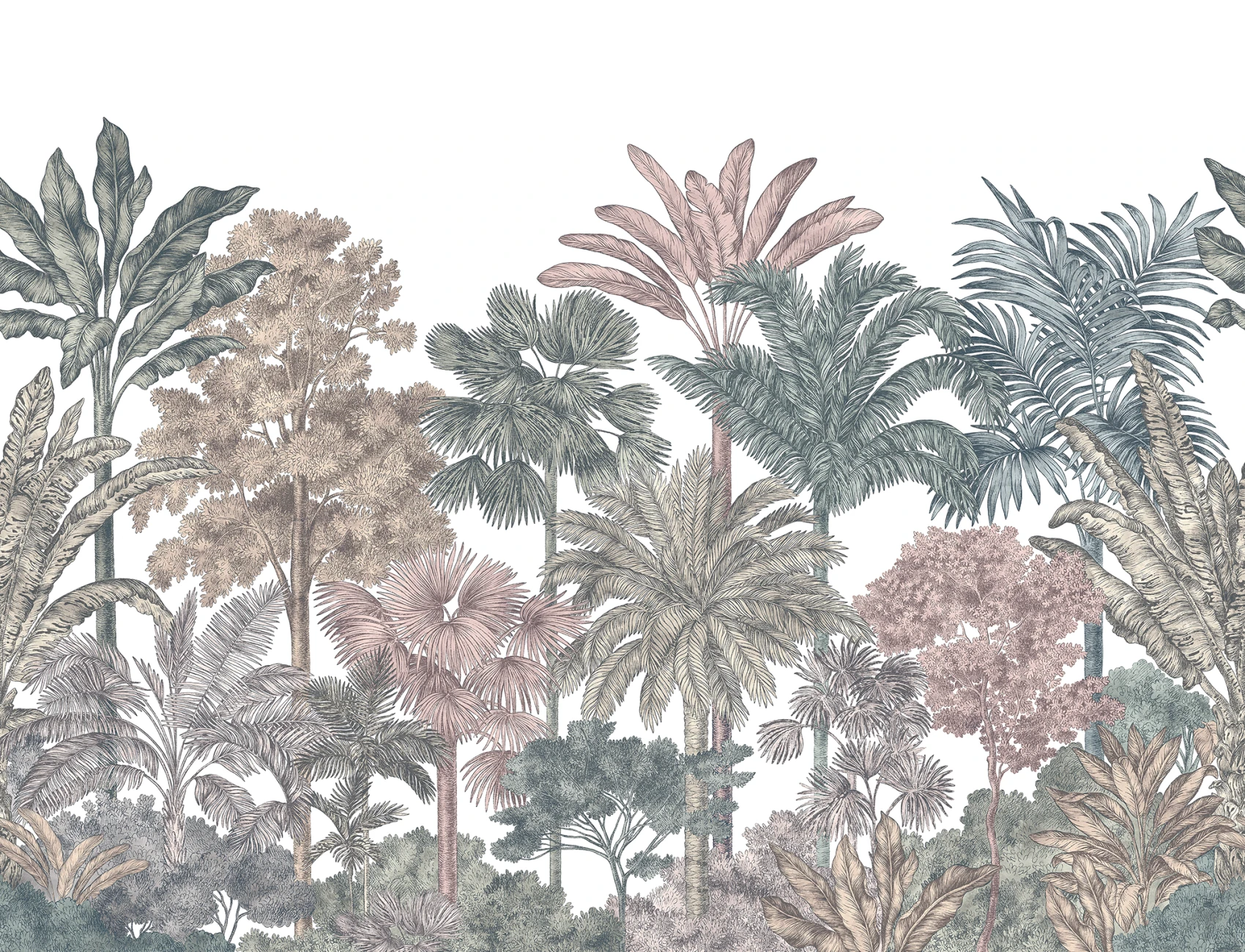 Tropical Bellewood, Bubblegum