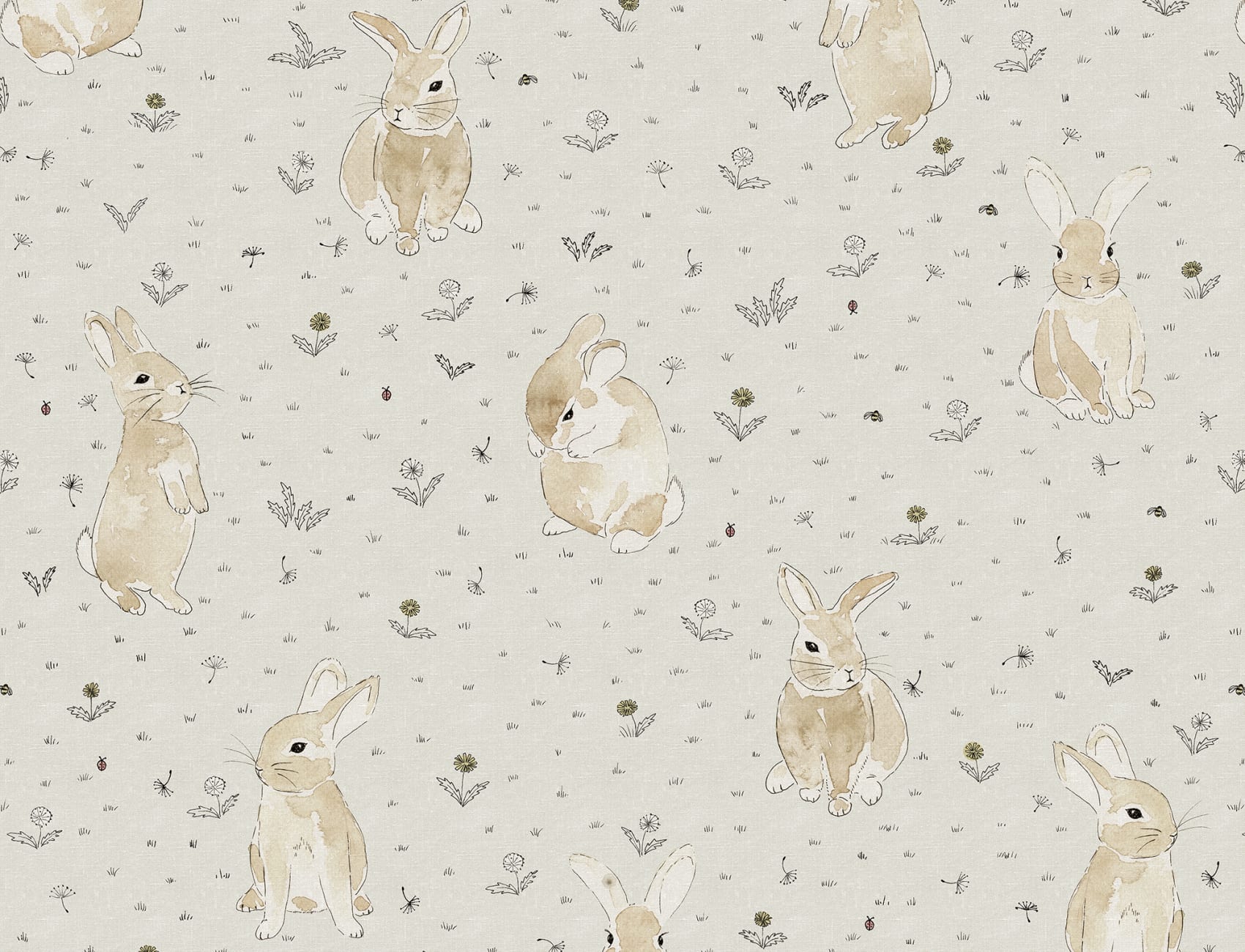 Bunny Field, Sand
