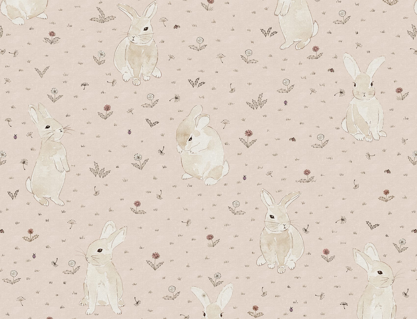 Bunny Field, Pink