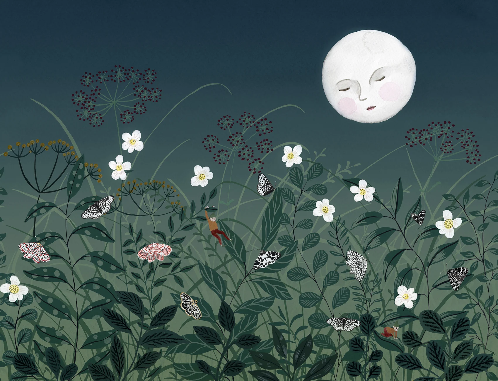 Pixie, Night