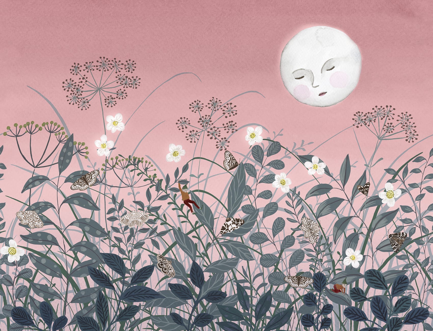 Pixie, Dawn