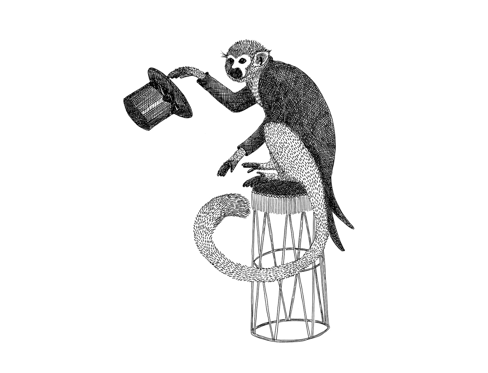Circus Animal, Mr Monkey