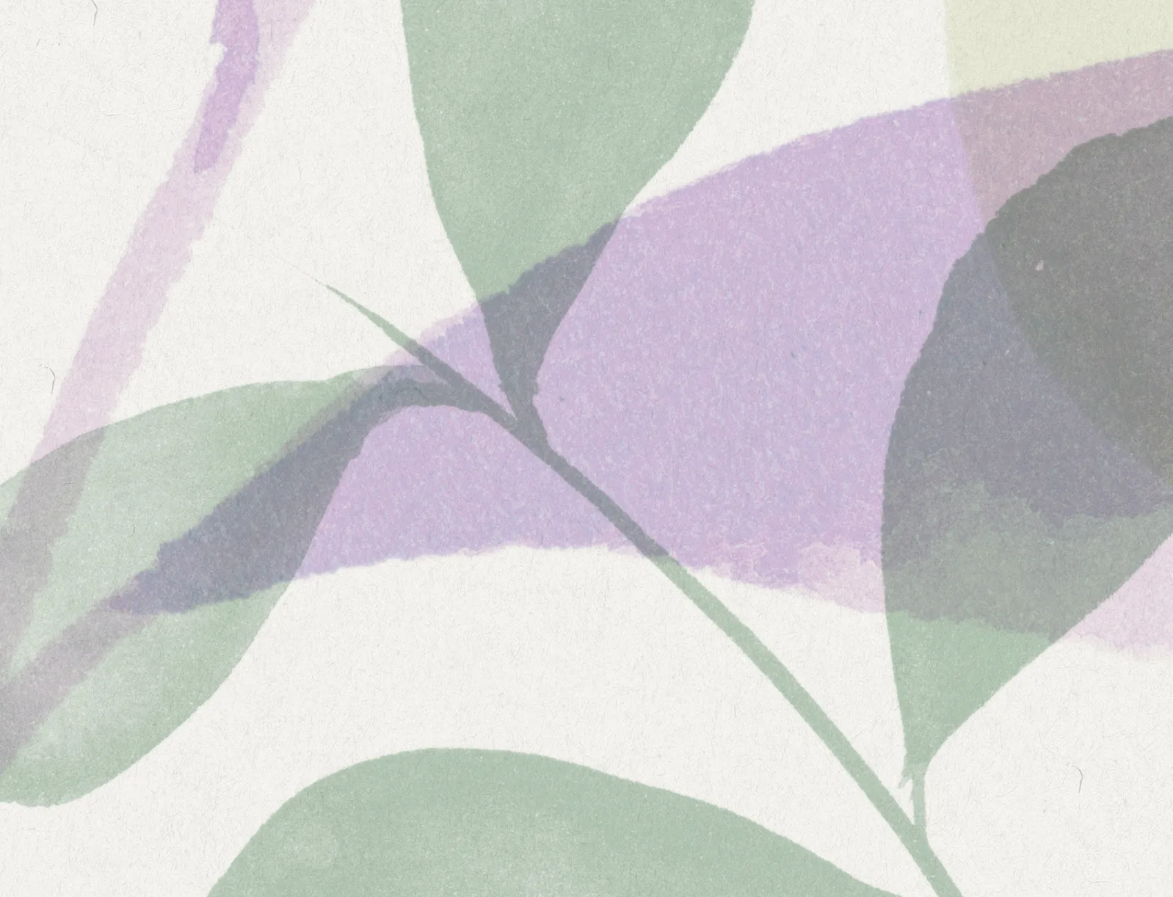Grow, Lilac