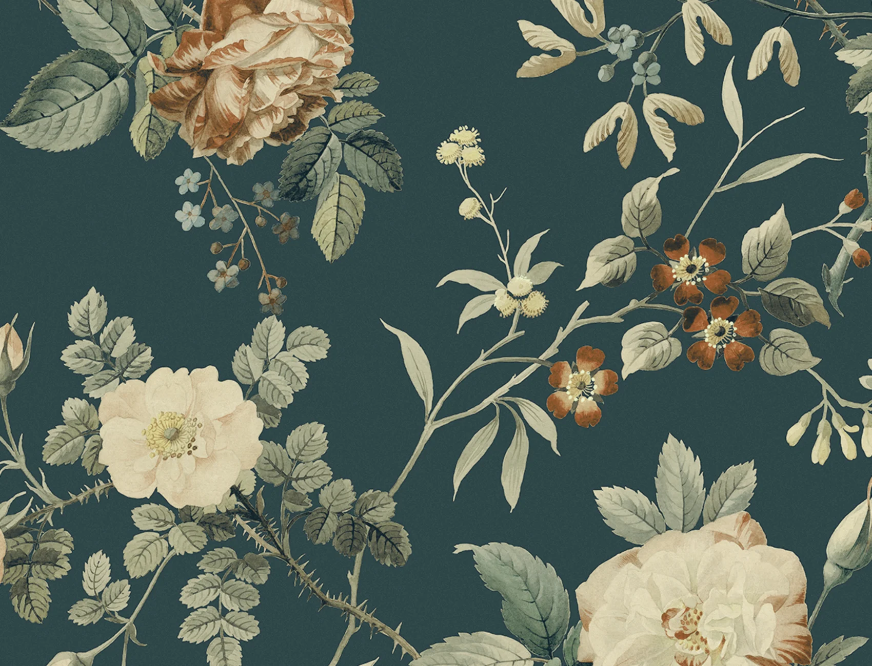 Thorn Rose Petite, Madame Hardy