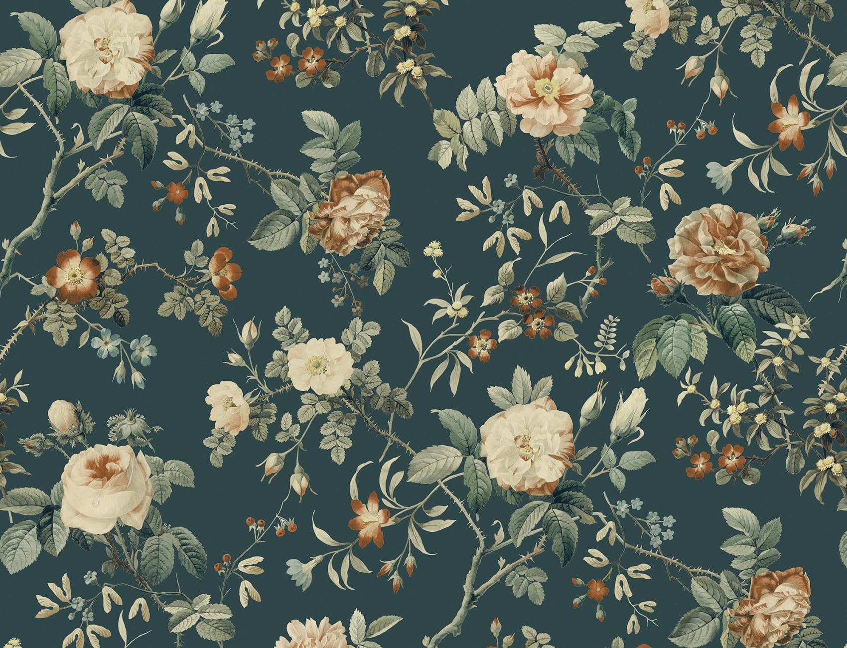 Thorn Rose Petite, Madame Hardy