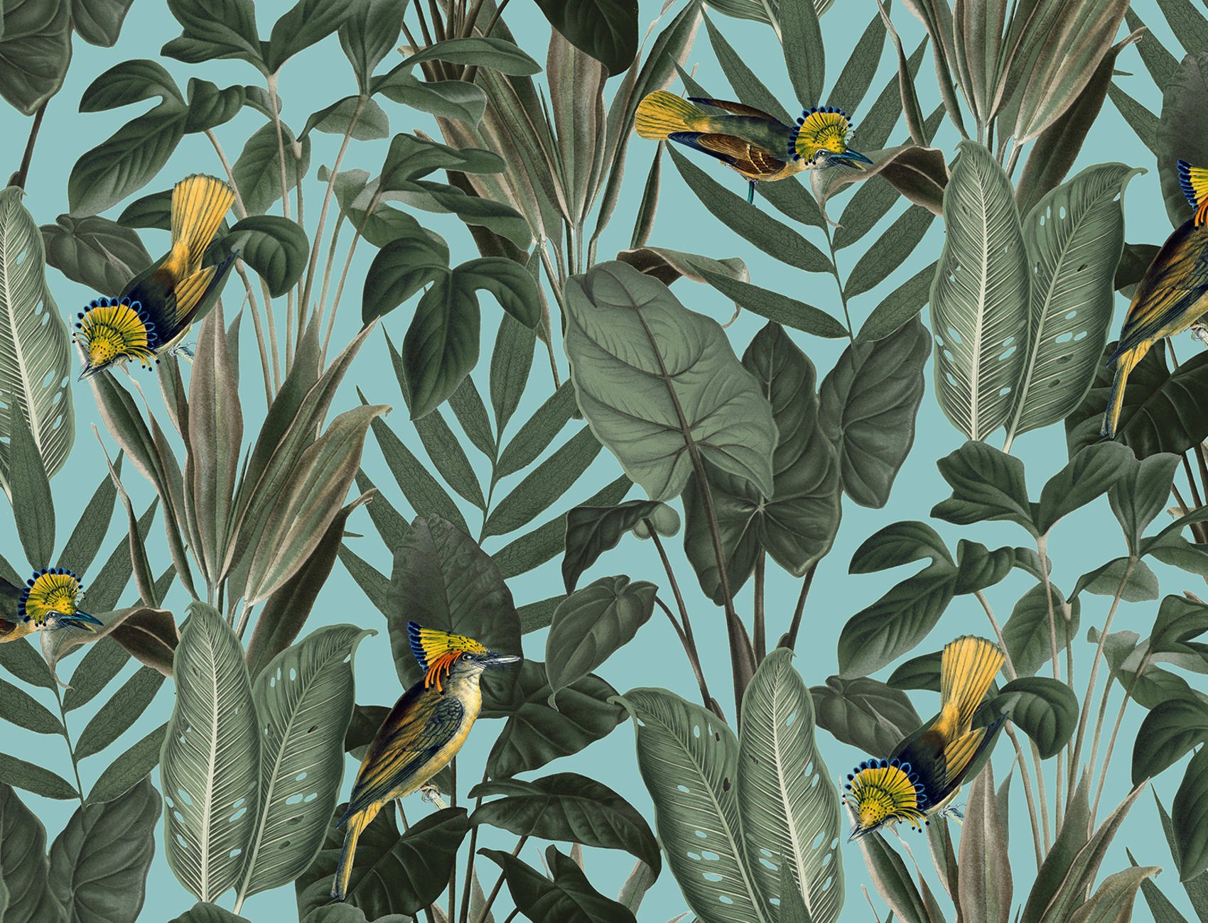 Birds of Paradise, Lush Green