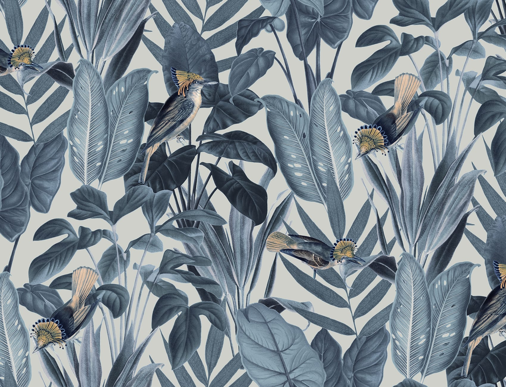 Birds of Paradise, Nightfall