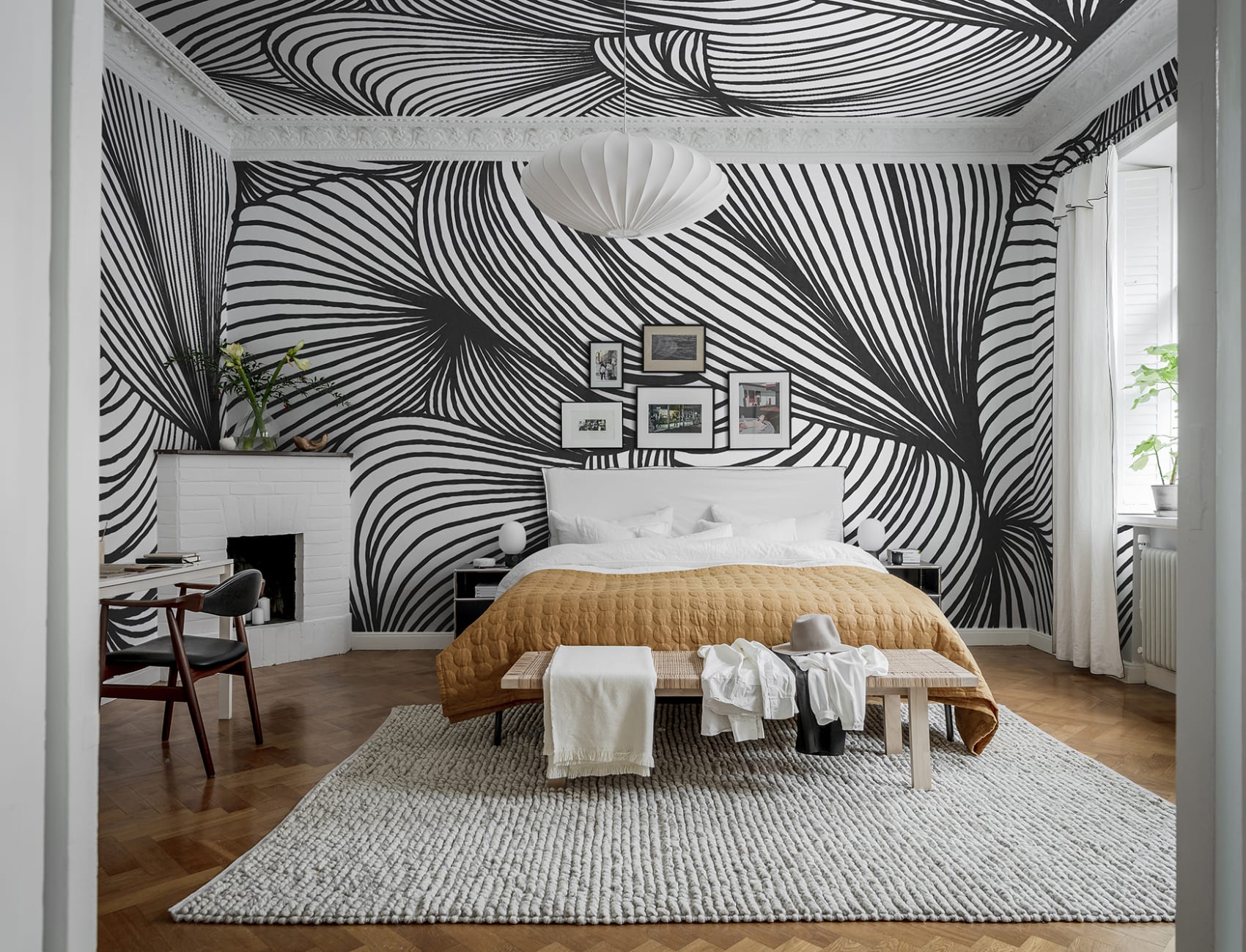 Opulence Lines, Graphite