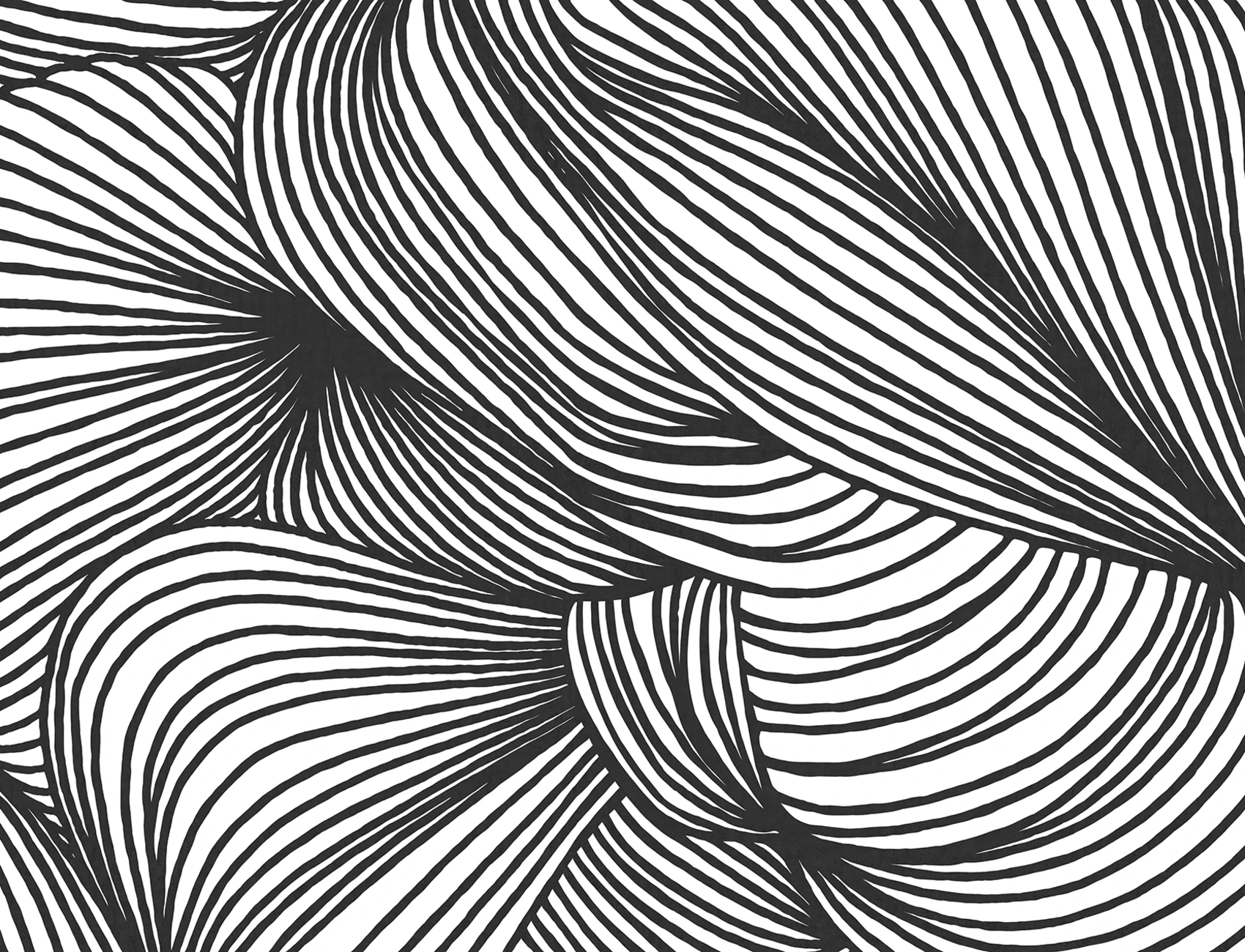 Opulence Lines, Graphite