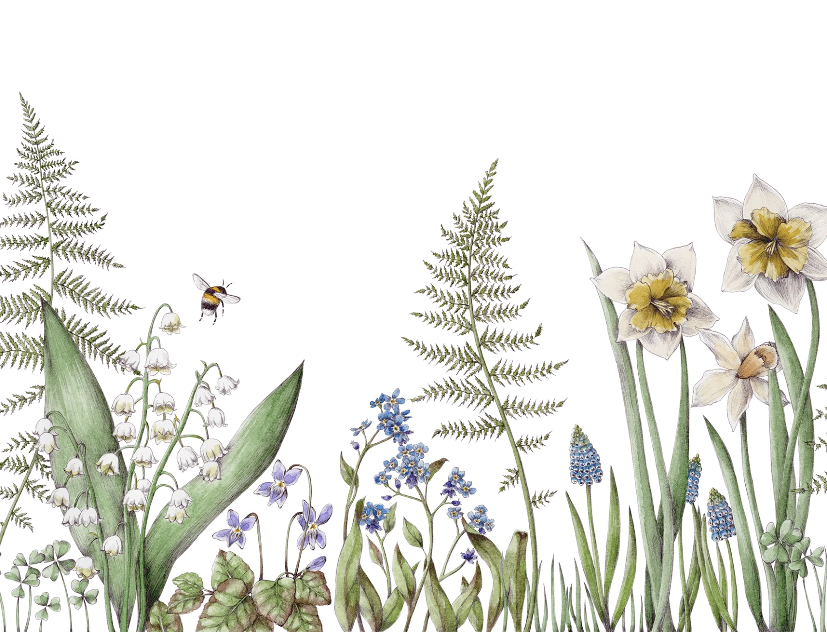 Bumblebee, White