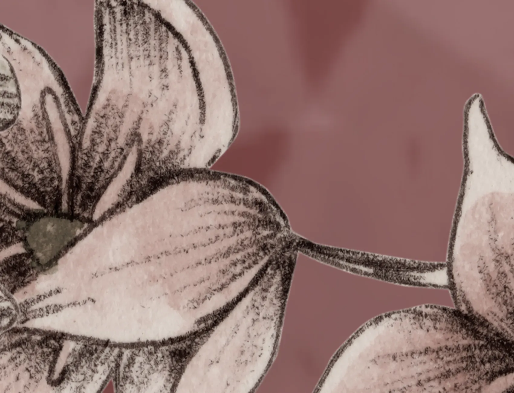 Spring Flower, Rust