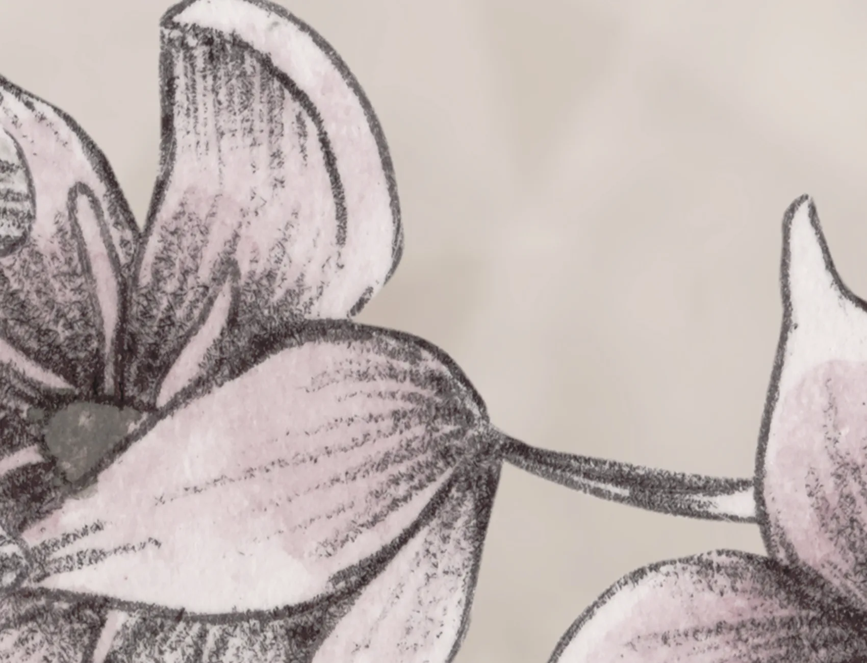 Spring Flower, Sand