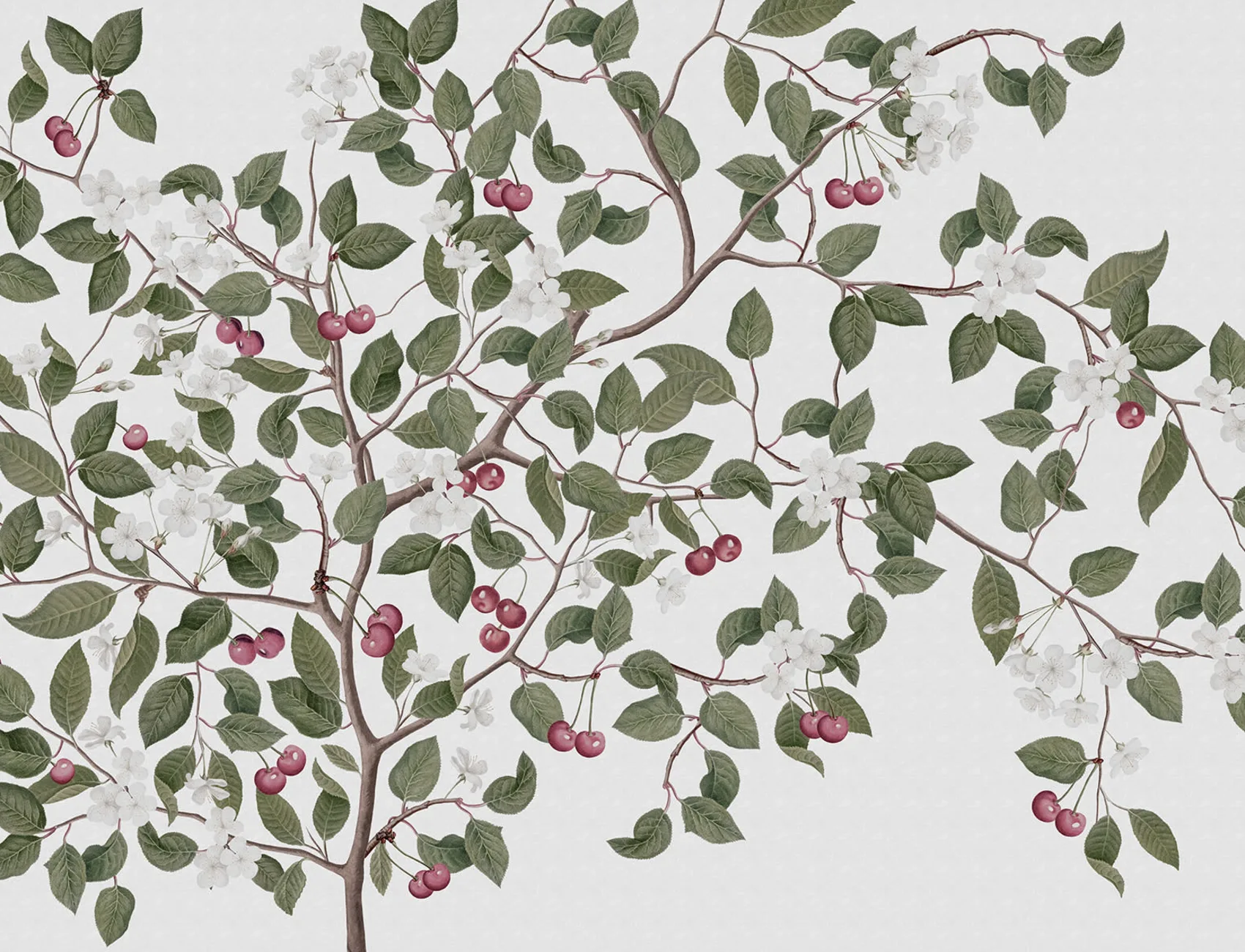 Ripe Berries and Cute Flowers