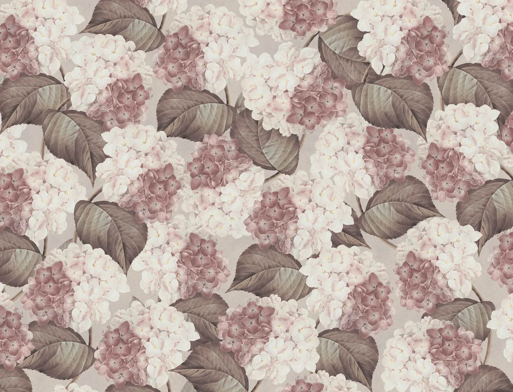 Grote hortensia bloemen