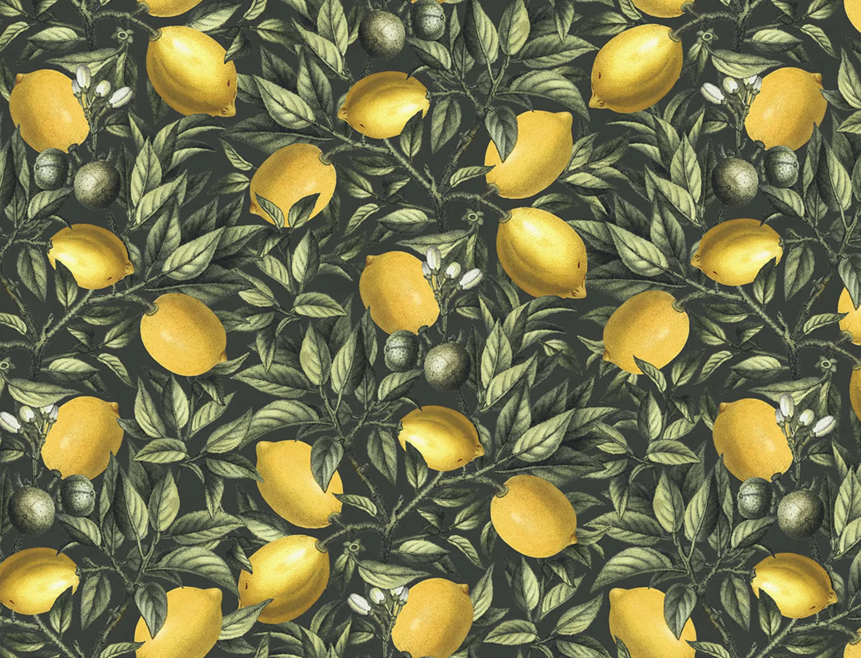 Quand la vie vous donne des citrons