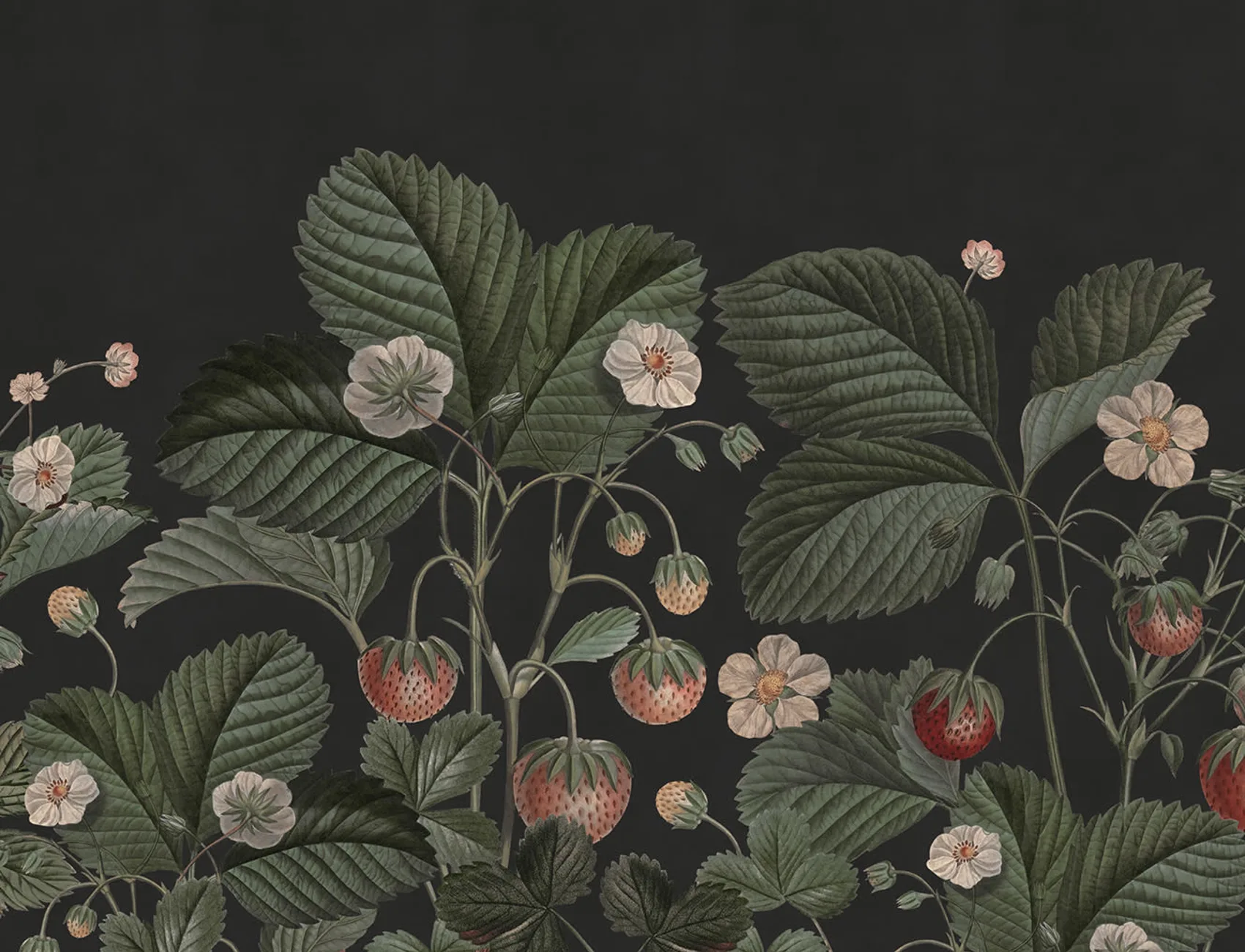 A Dreamy Strawberry Pattern