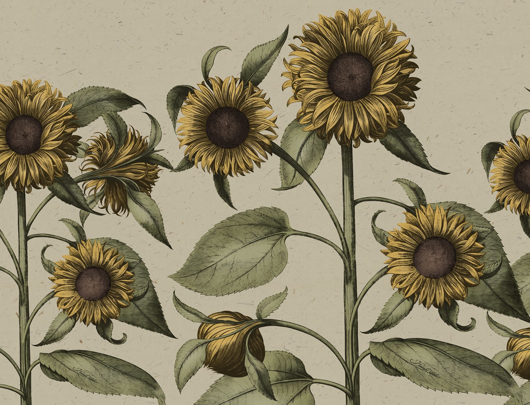 Freundliche und coole Sonnenblumen